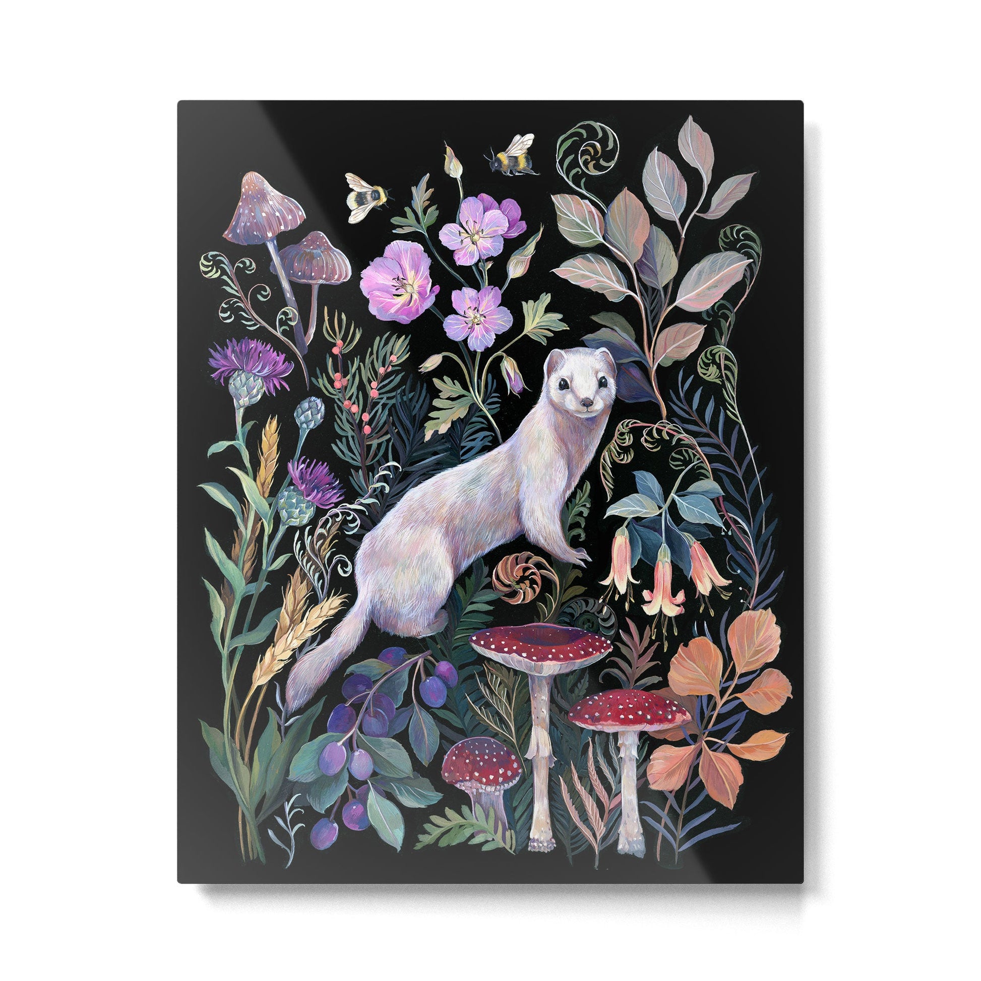 White Ermine Metal Print | TeksDecor