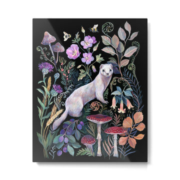 White Ermine Metal Print | TeksDecor