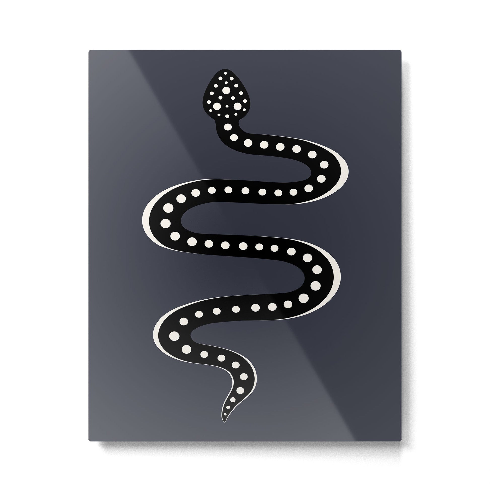 Minimal Snake XXVII Metal Print | TeksDecor