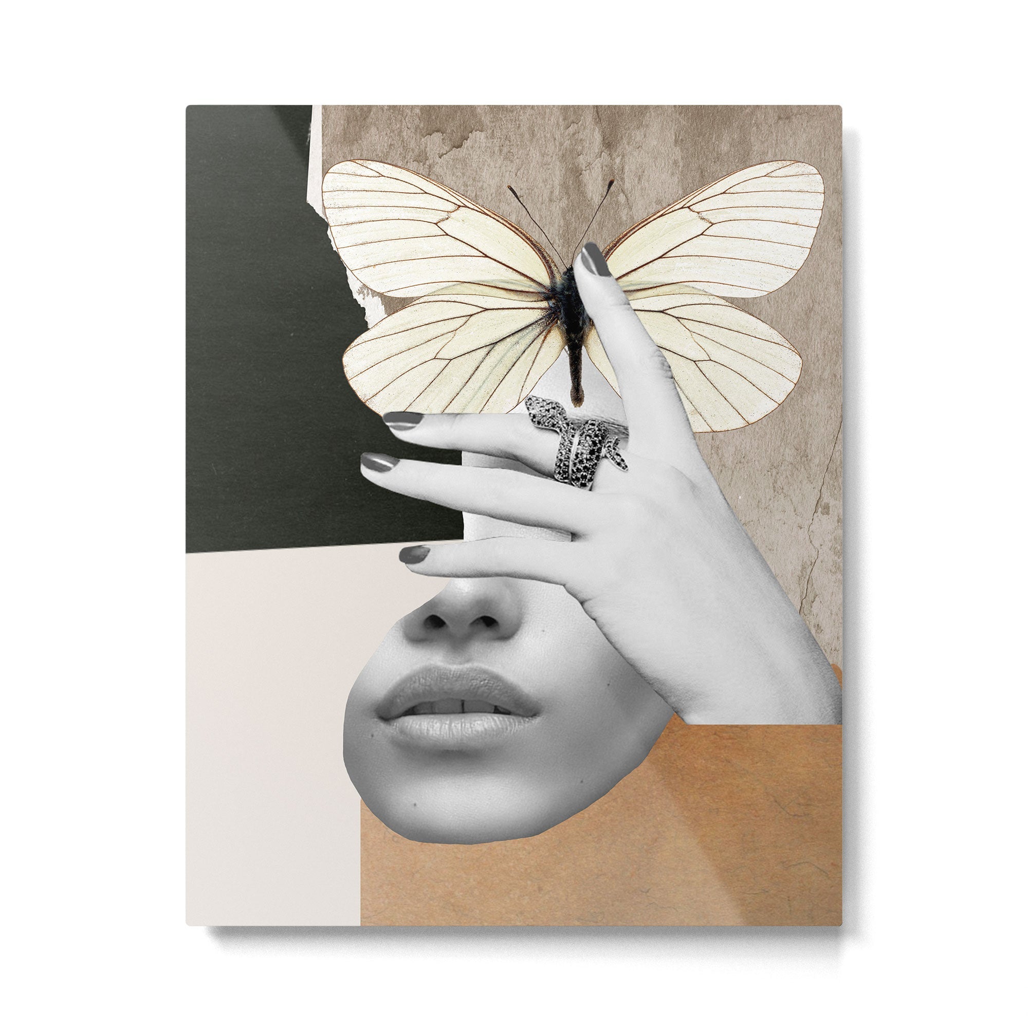 collage art / butterfly 2 Metal Print | TeksDecor