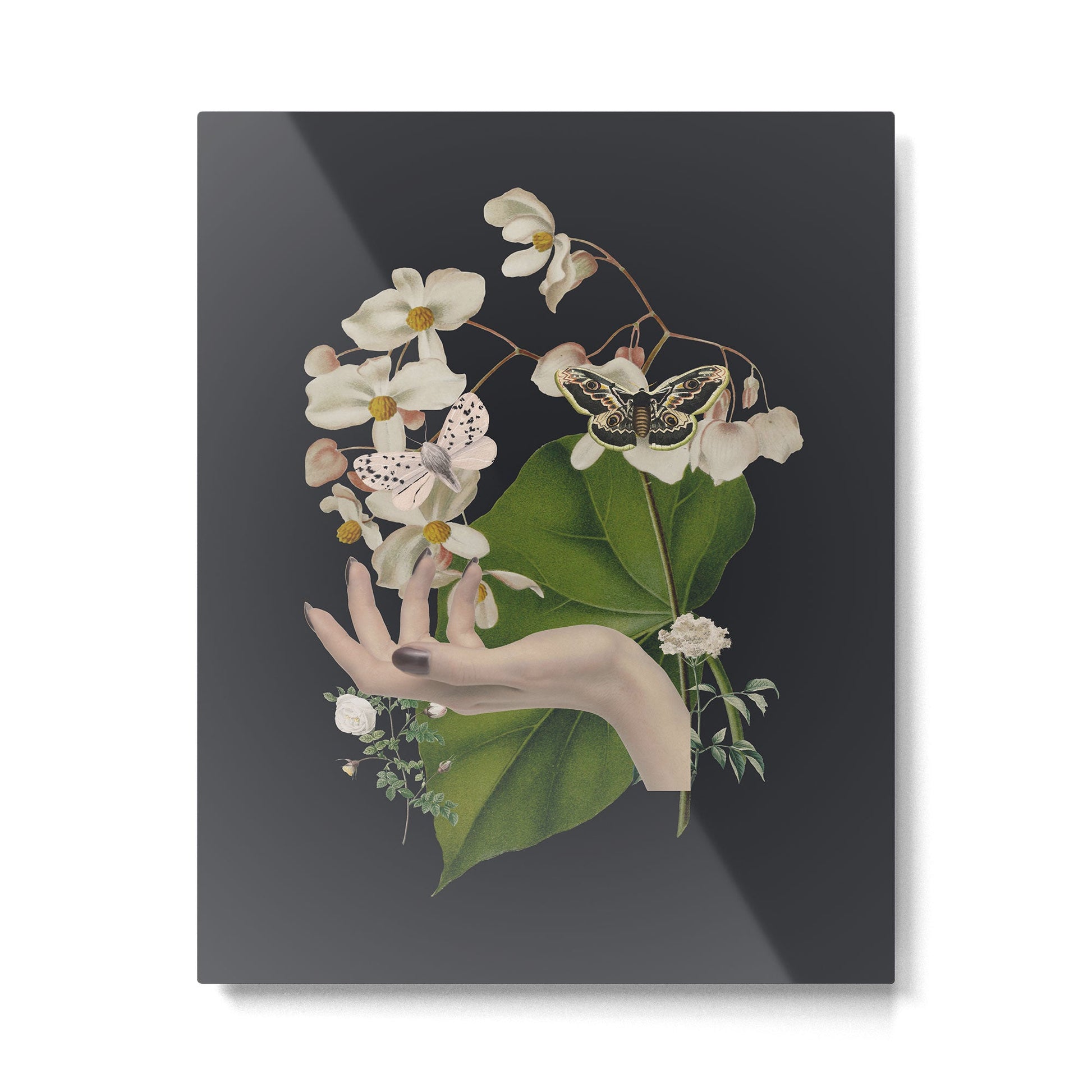 Minimal Collage/ Hand, Plants and Butterflies 6 Metal Print | TeksDecor