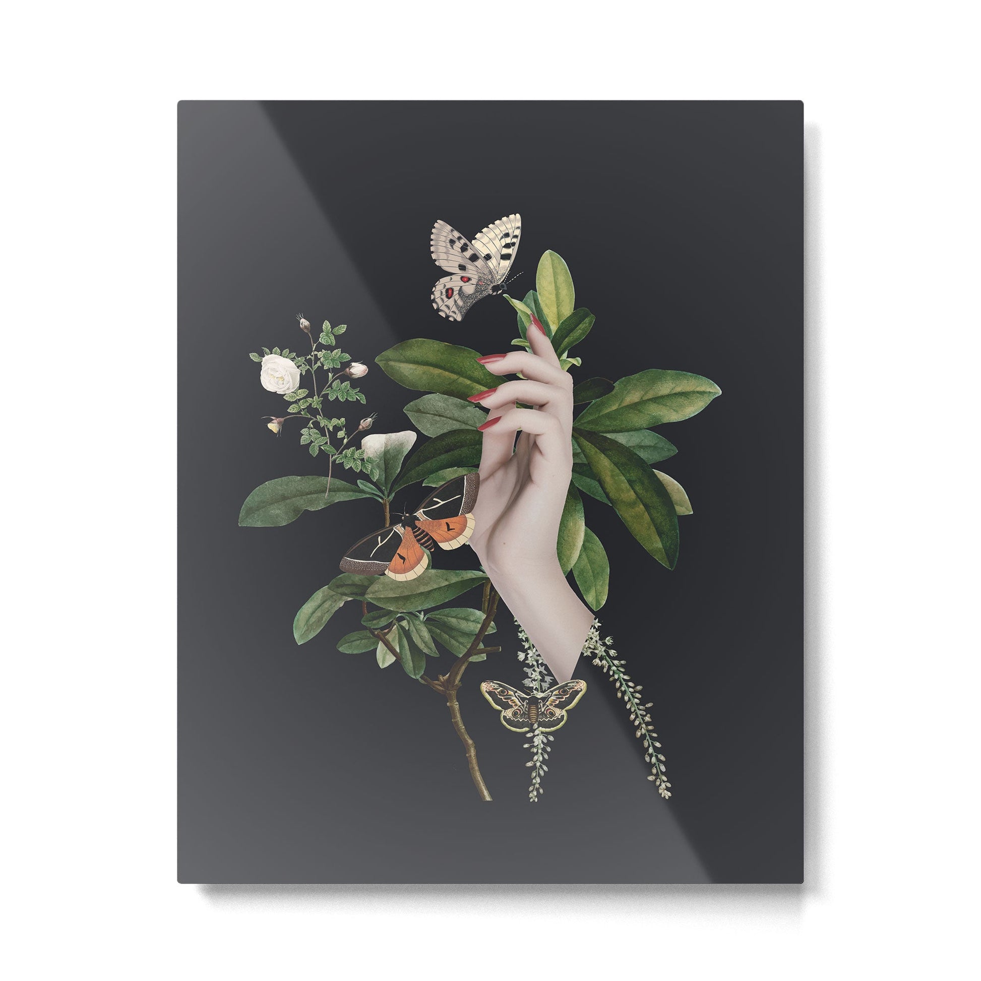Minimal Collage/ Hand, Plants and Butterflies 7 Metal Print | TeksDecor
