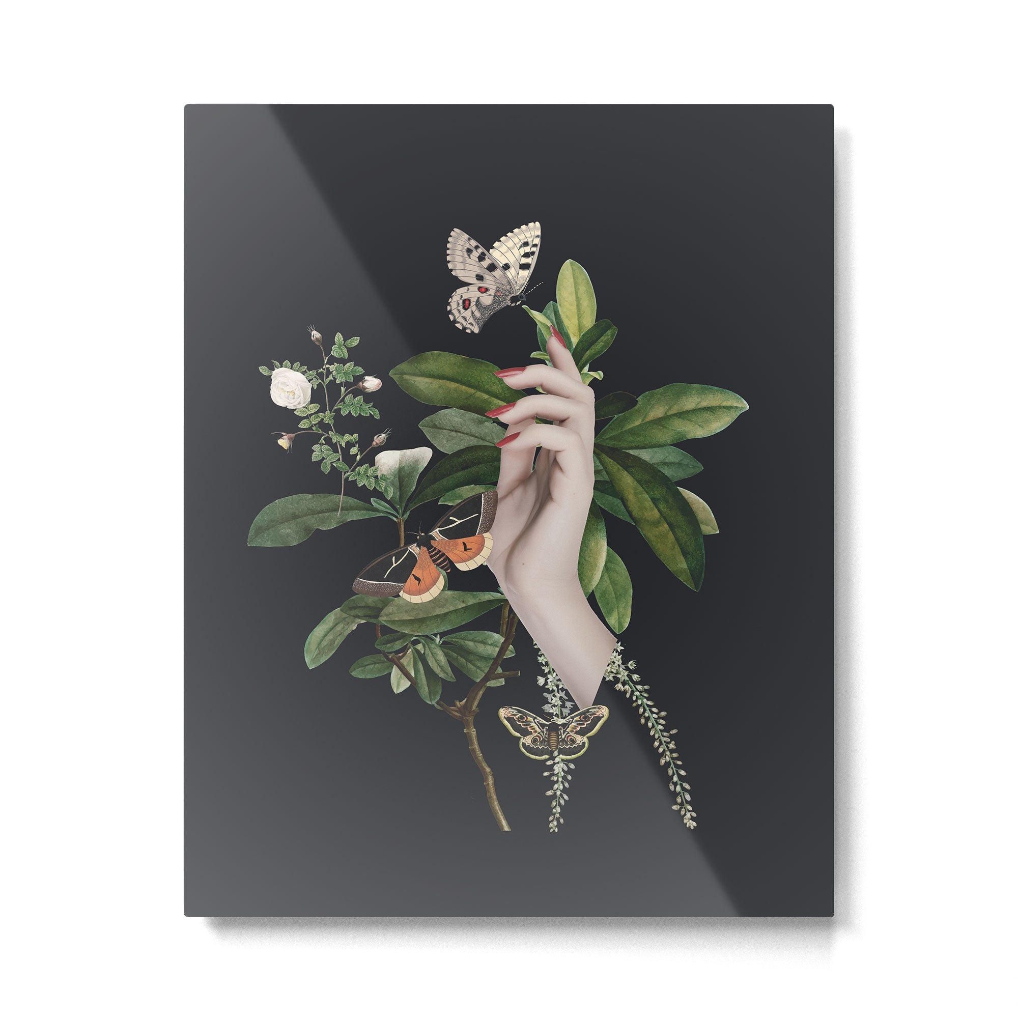 Minimal Collage/ Hand, Plants and Butterflies 7 Metal Print | TeksDecor