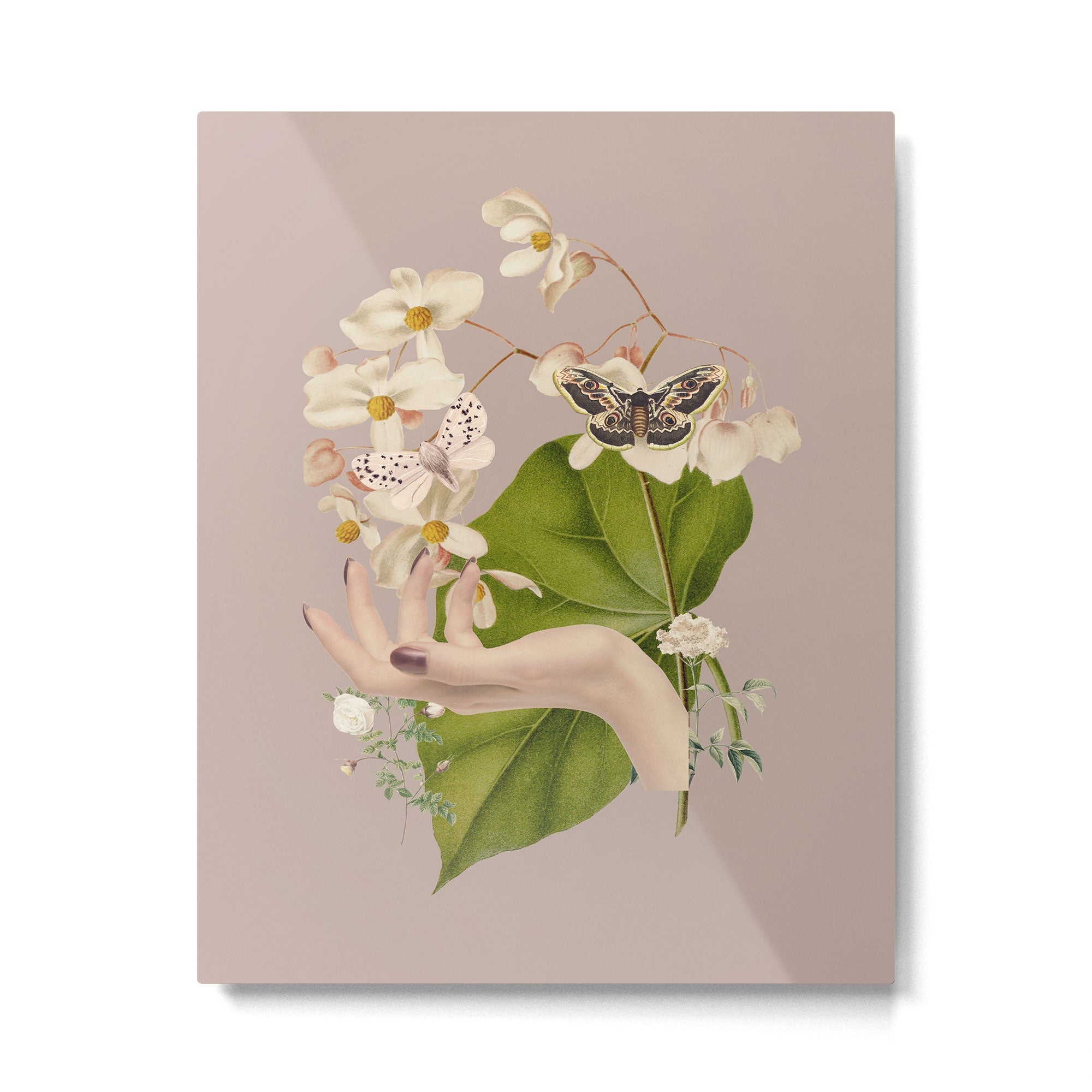 Minimal Collage/ Hand, Plants and Butterflies 8 Metal Print | TeksDecor