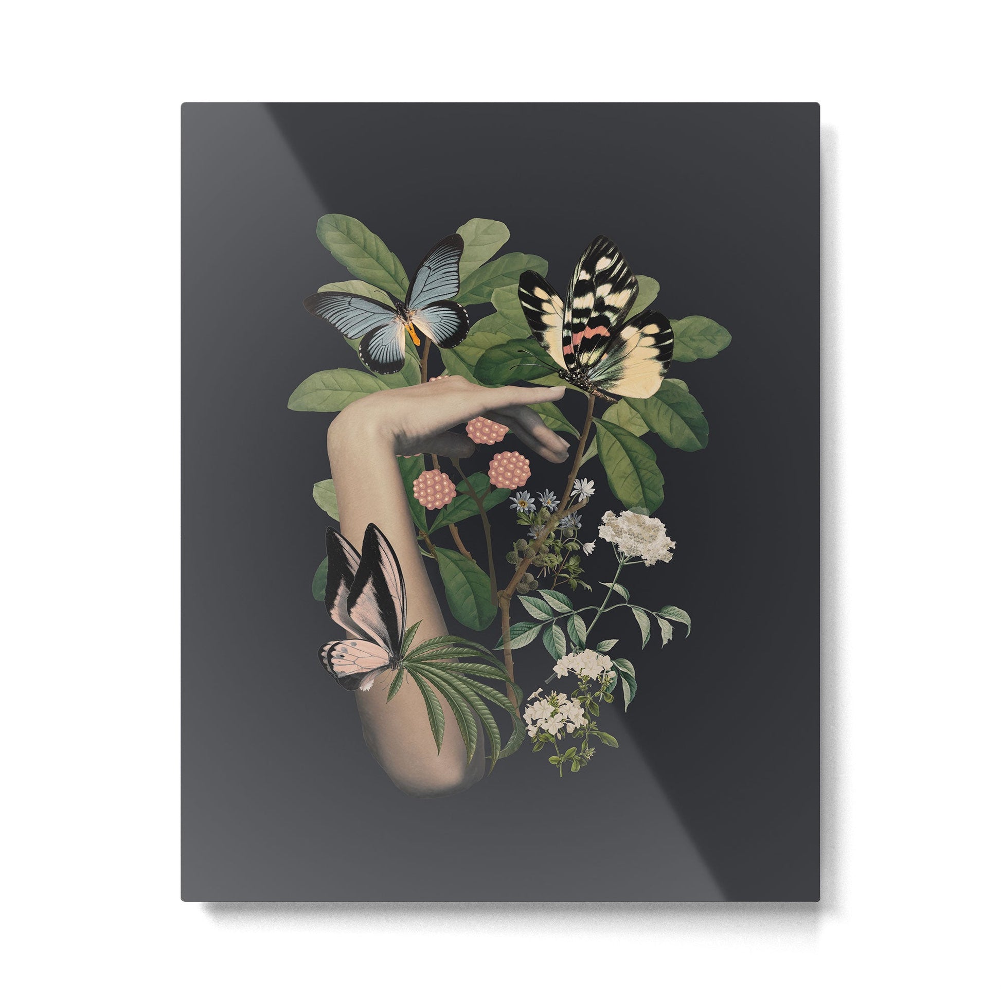 Minimal Collage/ Hand, Plants and Butterflies 5 Metal Print | TeksDecor