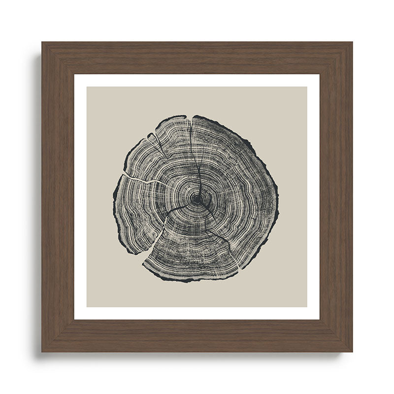 Hand-Drawn Oak Framed Art Print