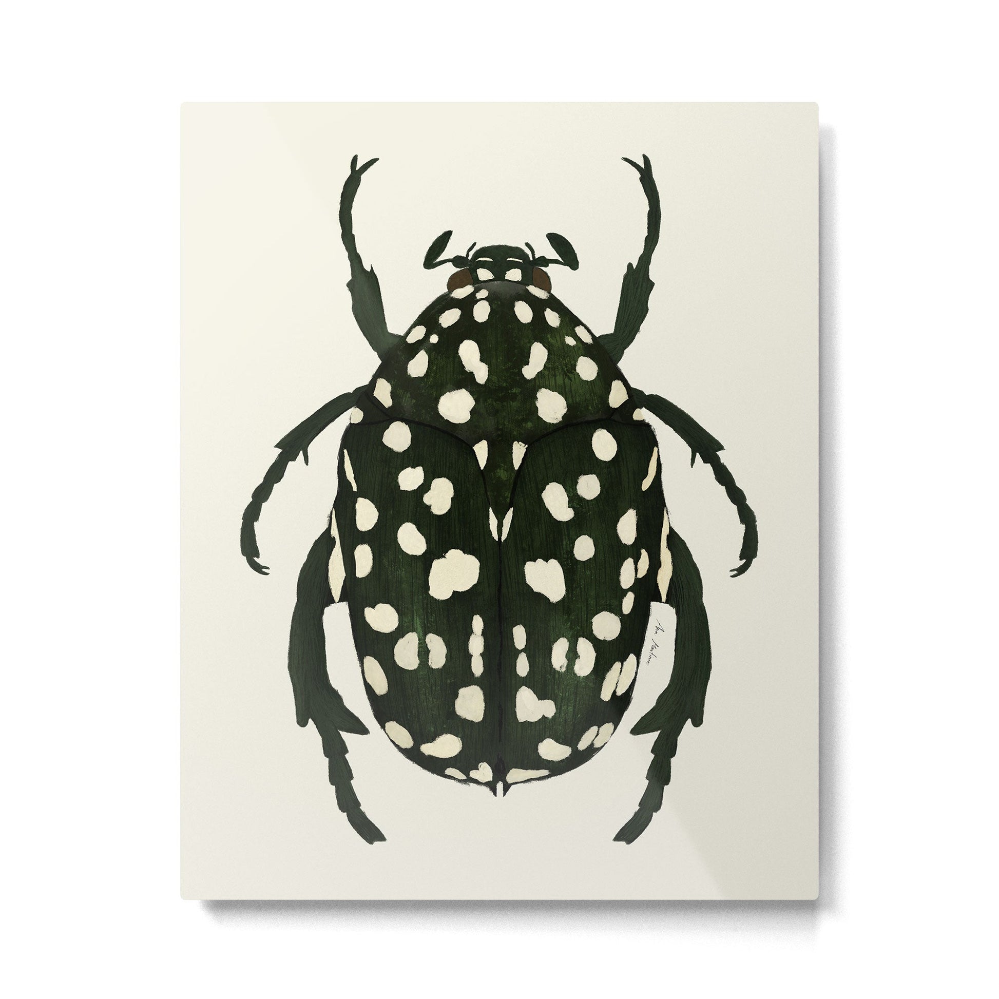 green beetle insect Metal Print | TeksDecor