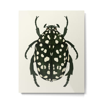 green beetle insect Metal Print | TeksDecor