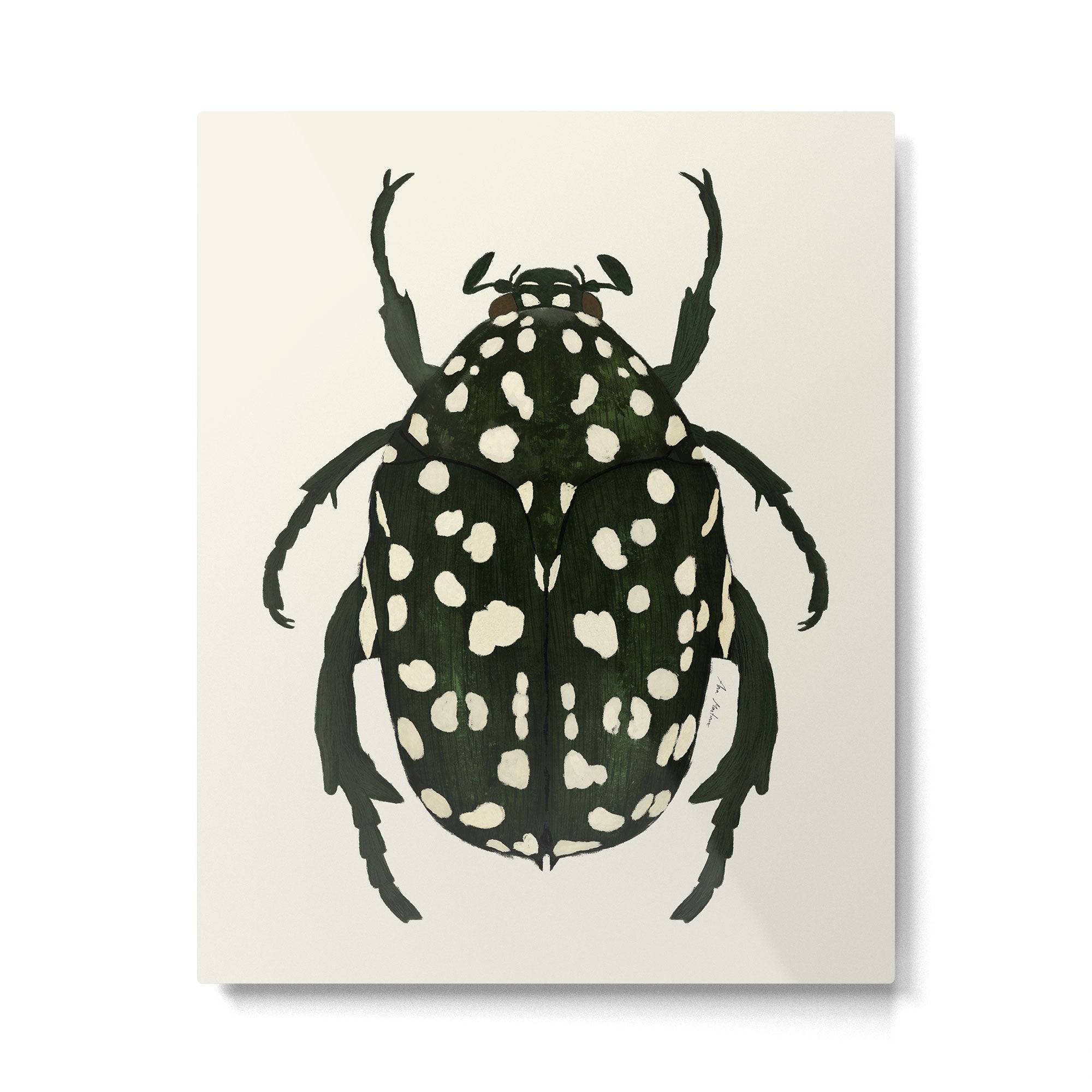 green beetle insect Metal Print | TeksDecor