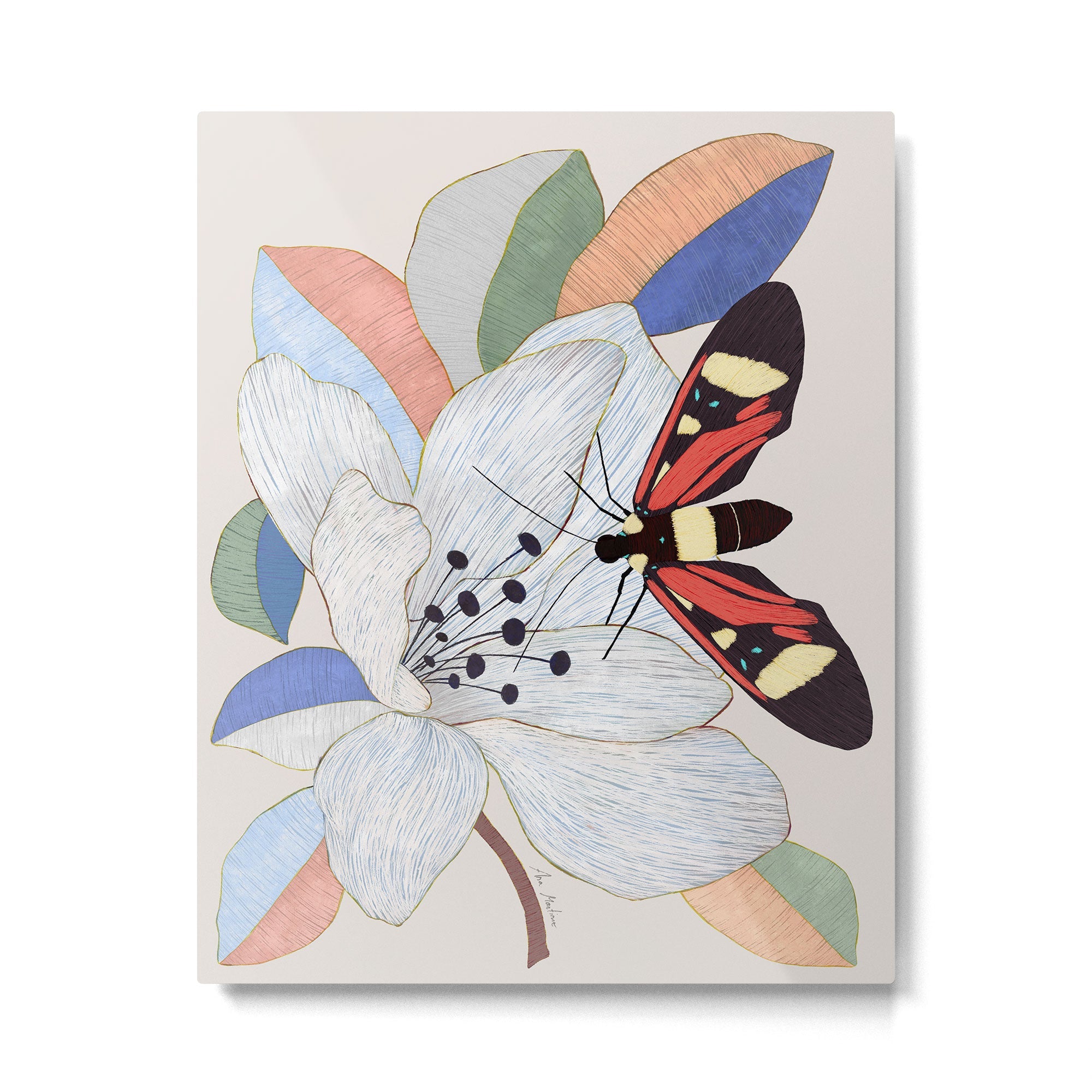 Magnolia flower and insect Metal Print | TeksDecor