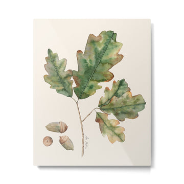 Oak tree  green leaves  Metal Print | TeksDecor