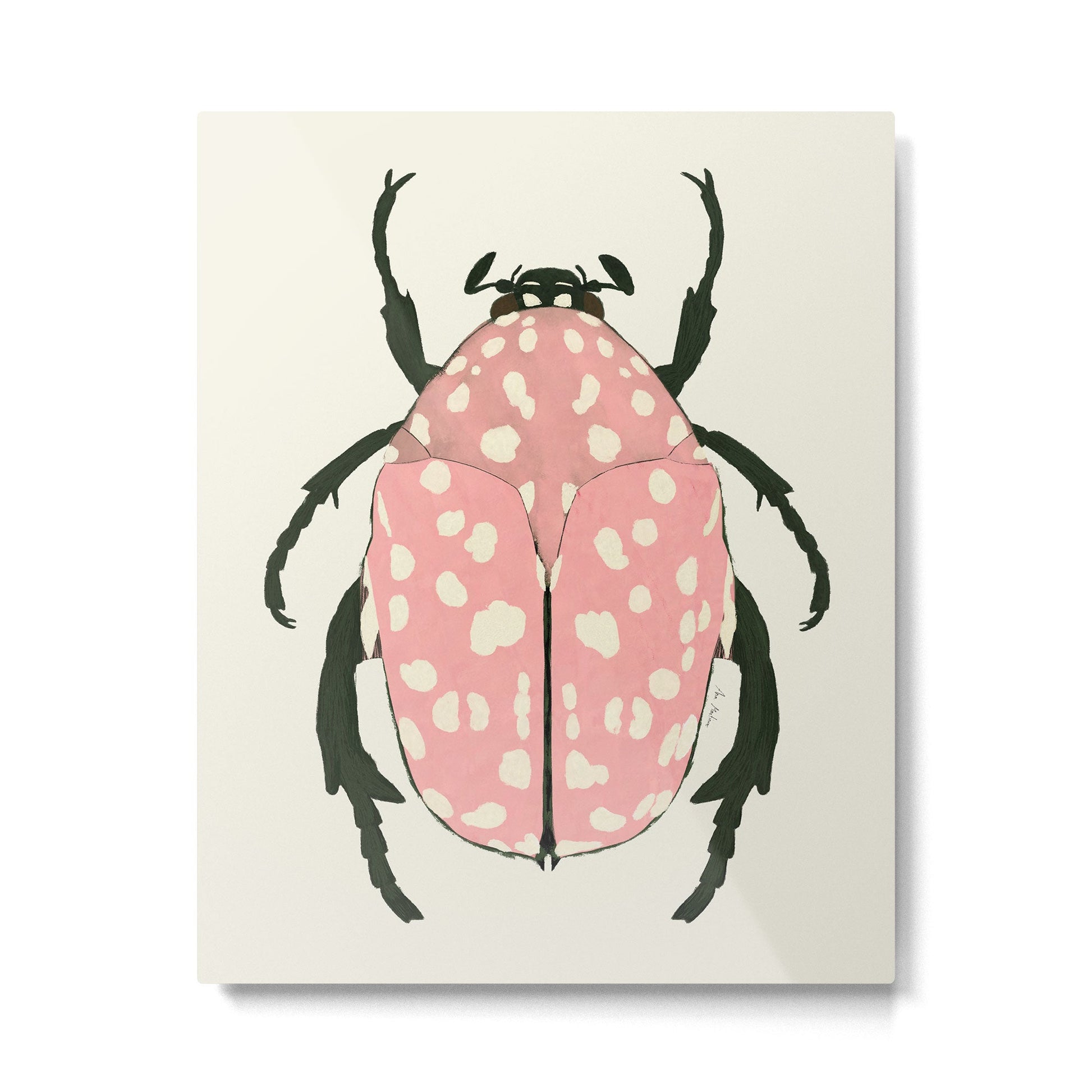 pink beetle insect Metal Print | TeksDecor