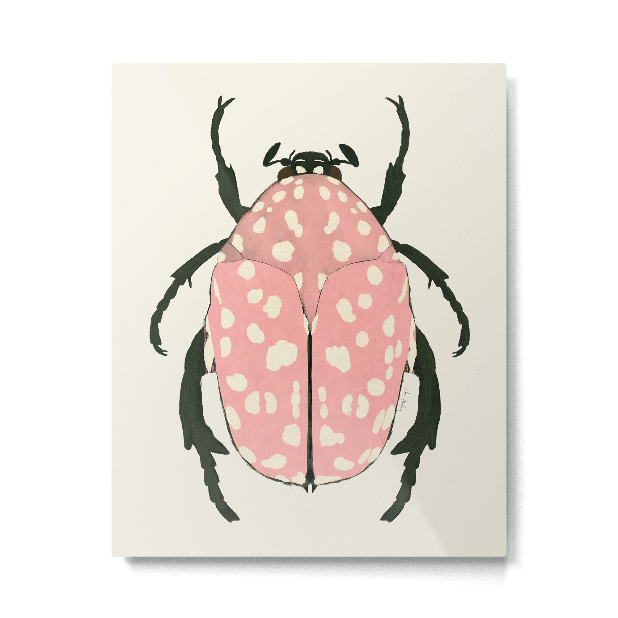 pink beetle insect Metal Print | TeksDecor