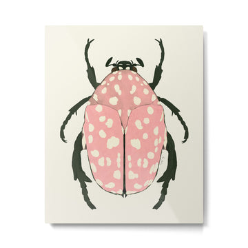 pink beetle insect Metal Print | TeksDecor