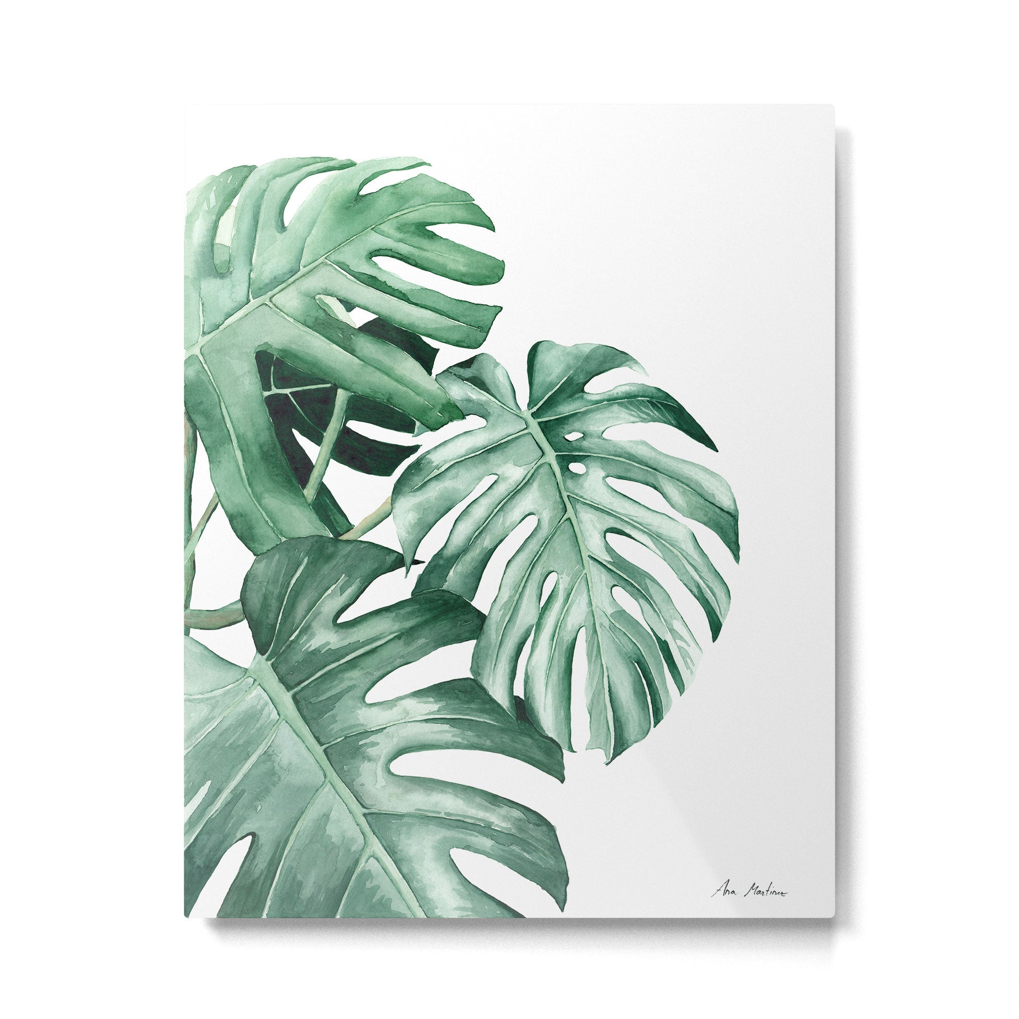 Watercolor monstera leaves Metal Print | TeksDecor