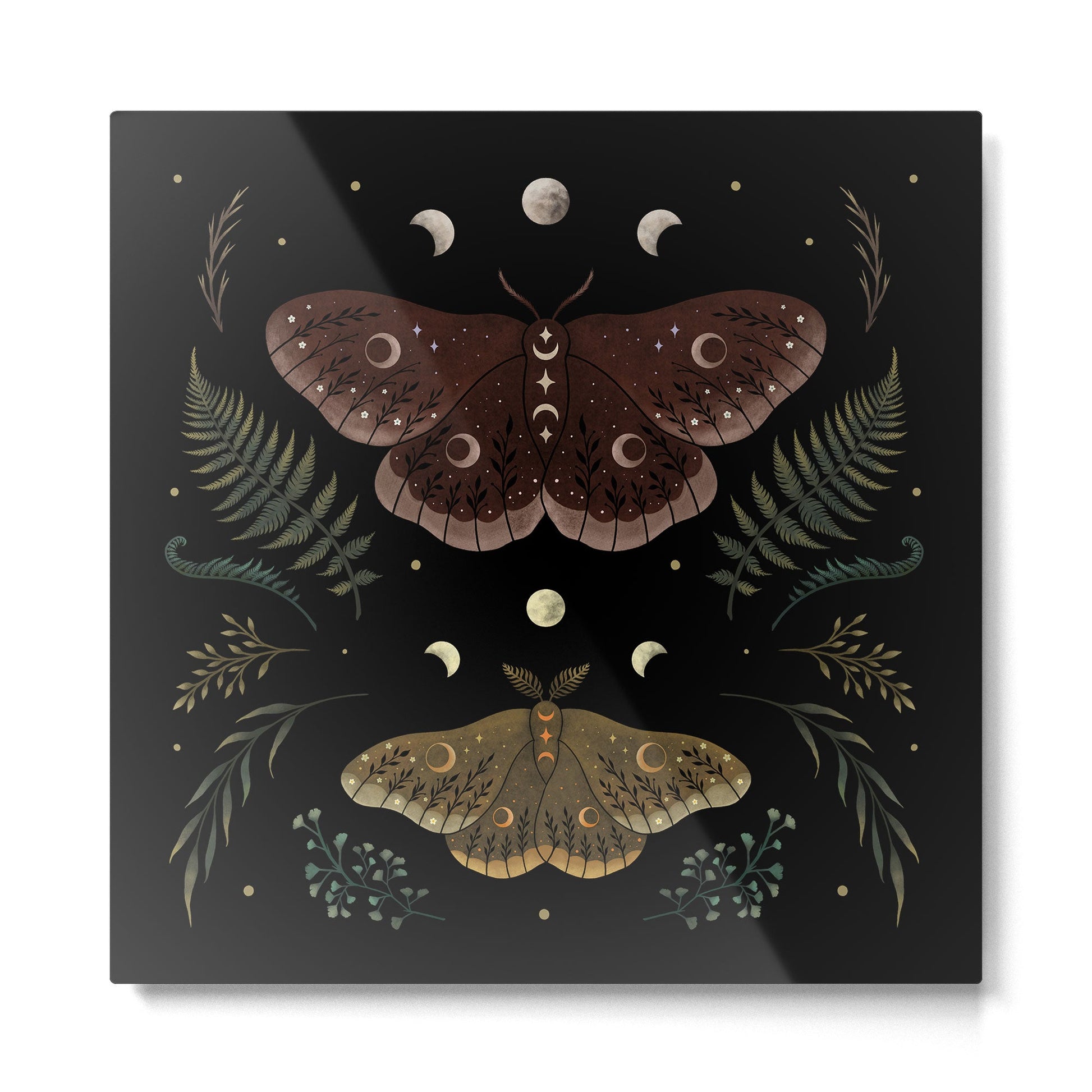 Saturnia Pavonia Metal Print | TeksDecor