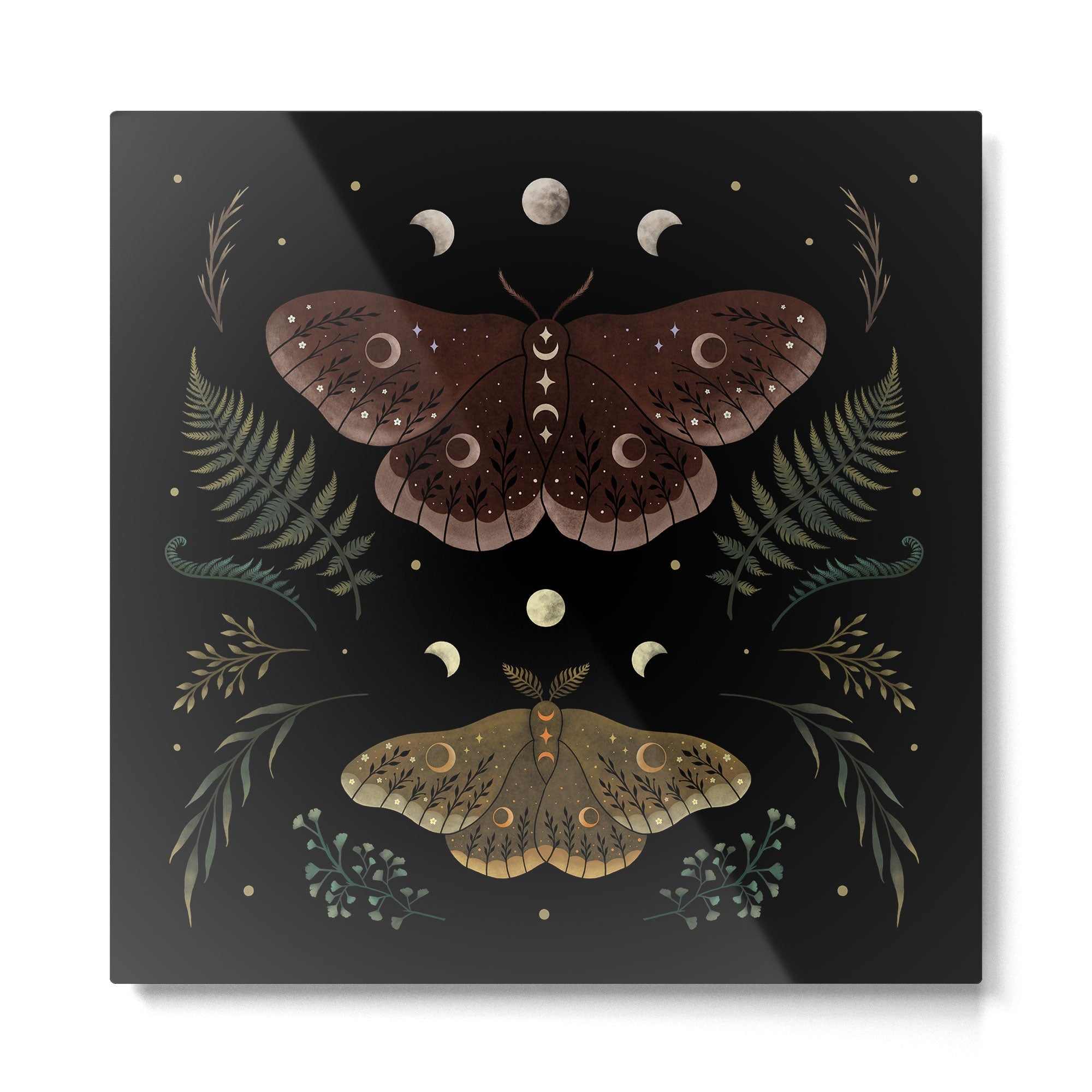 Saturnia Pavonia Metal Print | TeksDecor