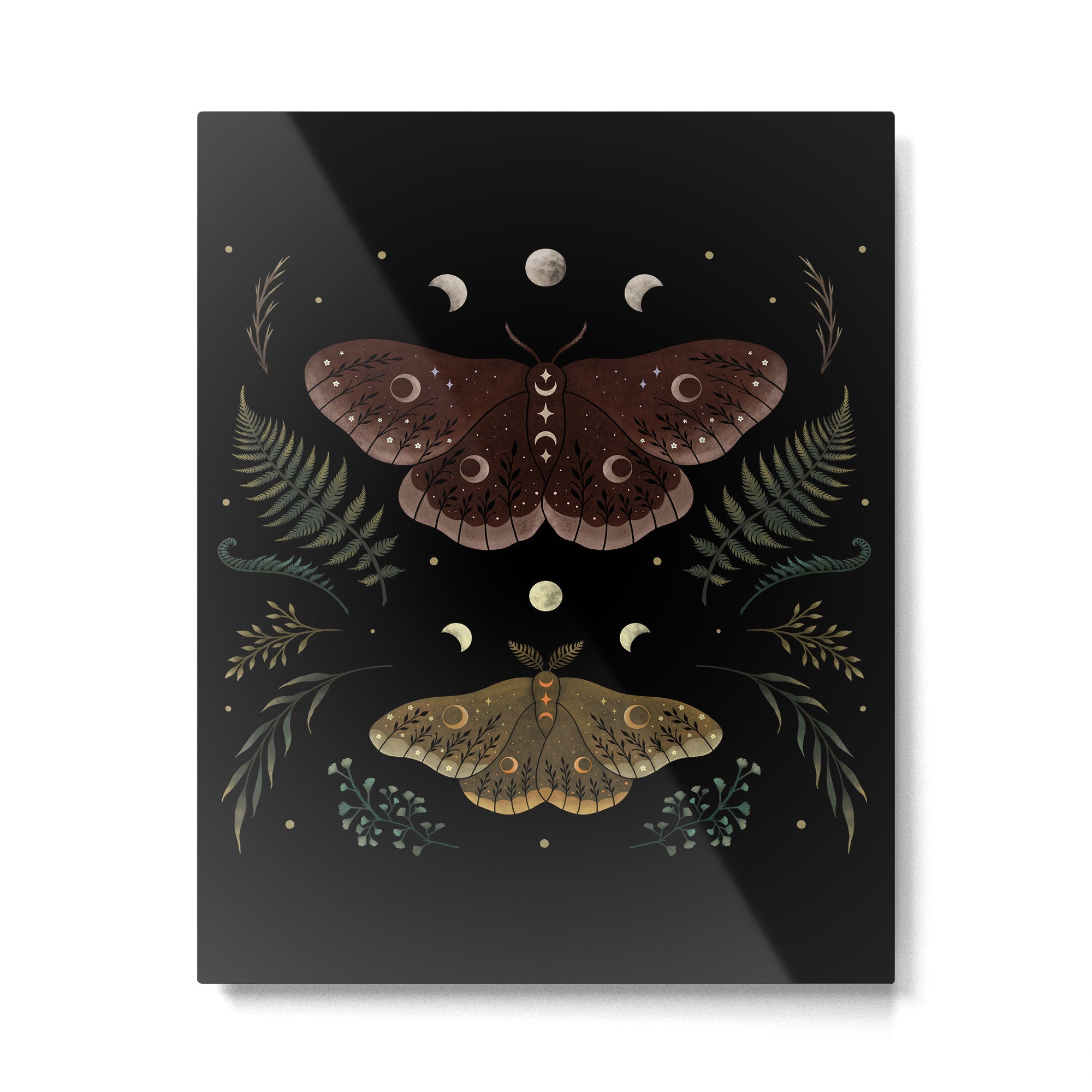 Saturnia Pavonia Metal Print | TeksDecor