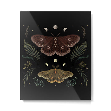 Saturnia Pavonia Metal Print | TeksDecor