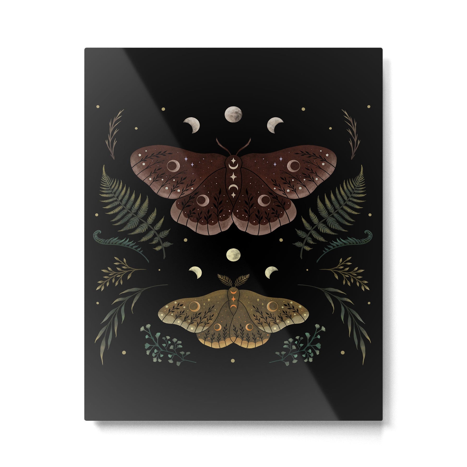 Saturnia Pavonia Metal Print | TeksDecor