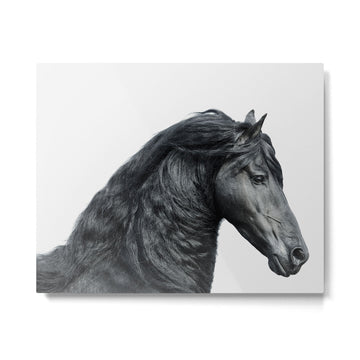 Black Beauty - Minimalist Black and White Photography Metal Print | TeksDecor