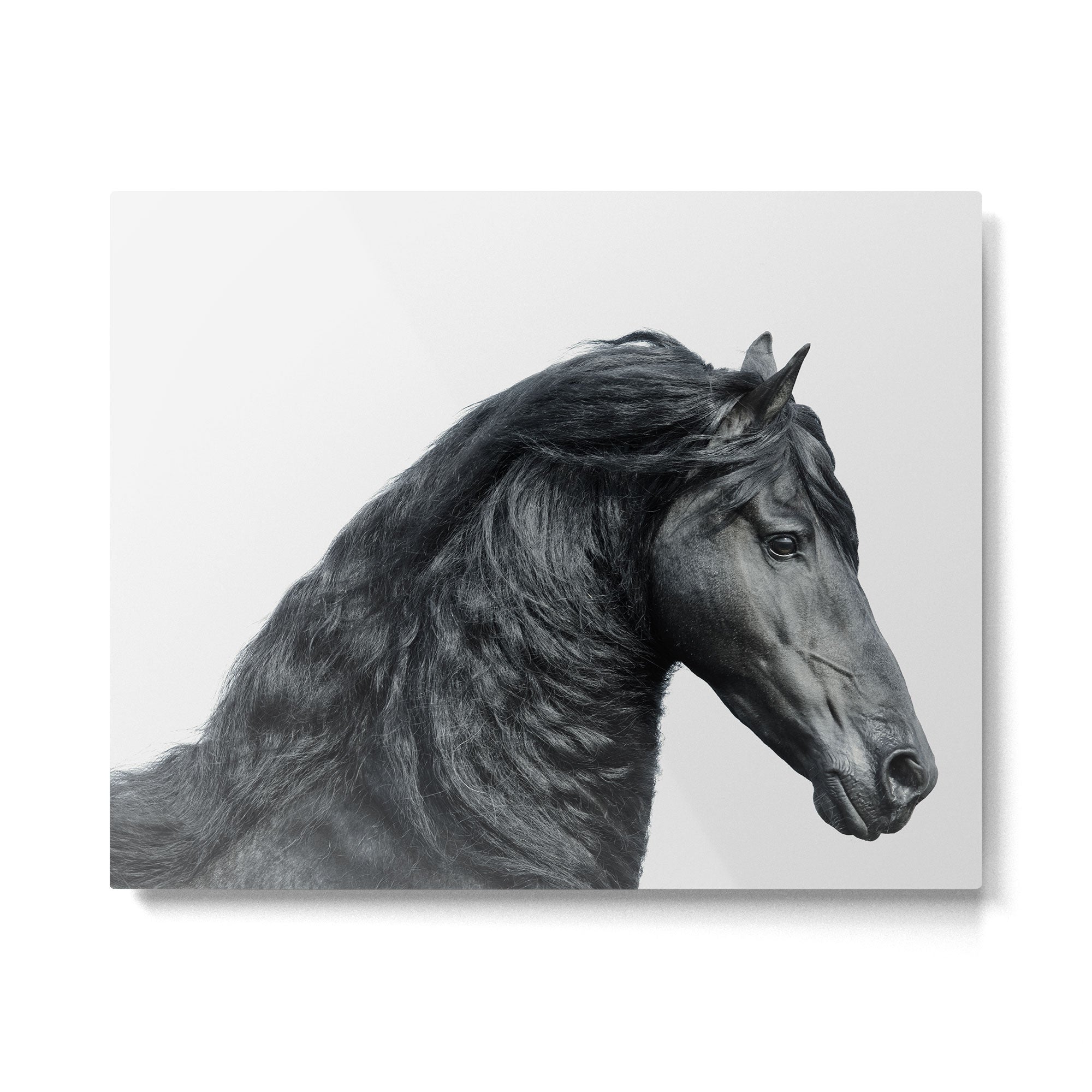 Black Beauty - Minimalist Black and White Photography Metal Print | TeksDecor