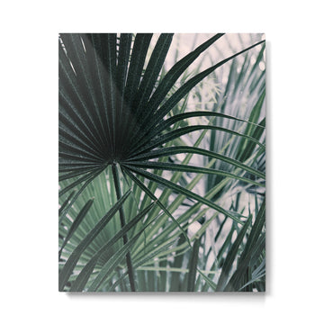 Fan Palms Galore - Tropical Nature Photography Metal Print | TeksDecor