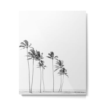 Hawaii Palm Trees - Black and White Photography Metal Print | TeksDecor