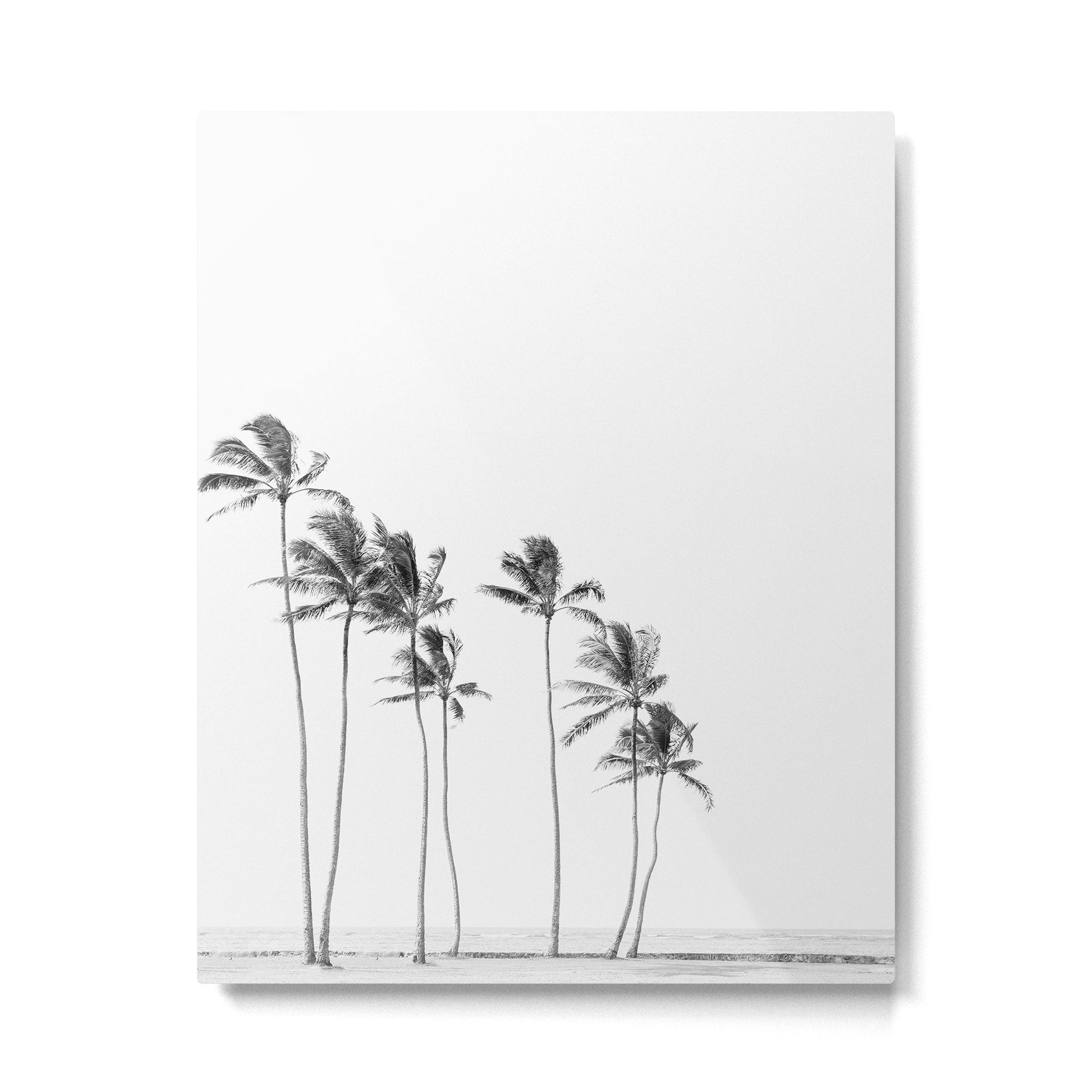 Hawaii Palm Trees - Black and White Photography Metal Print | TeksDecor