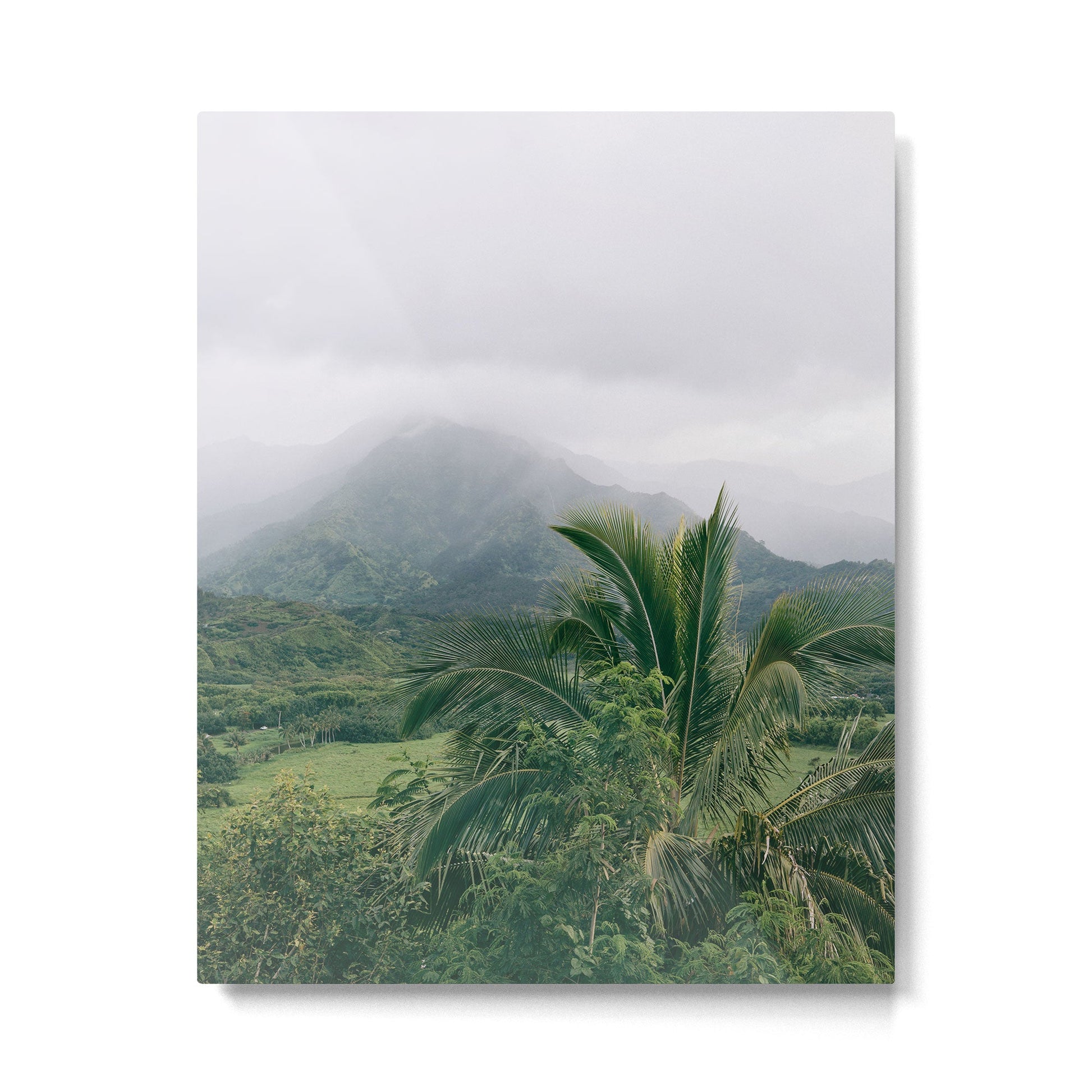Kauai Hawaii View | Hanalei Valley Landscape Art Print | Nature Travel Photography Metal Print | TeksDecor