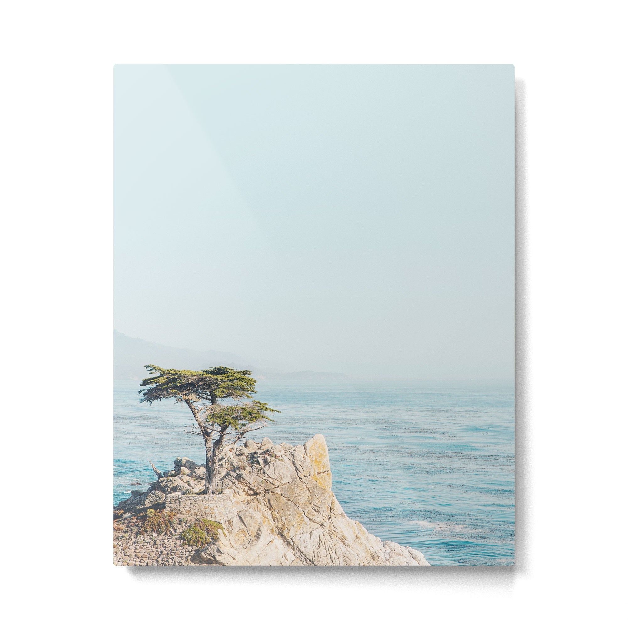 Lone Cypress Tree - Coastal California Landscape Photography Metal Print | TeksDecor