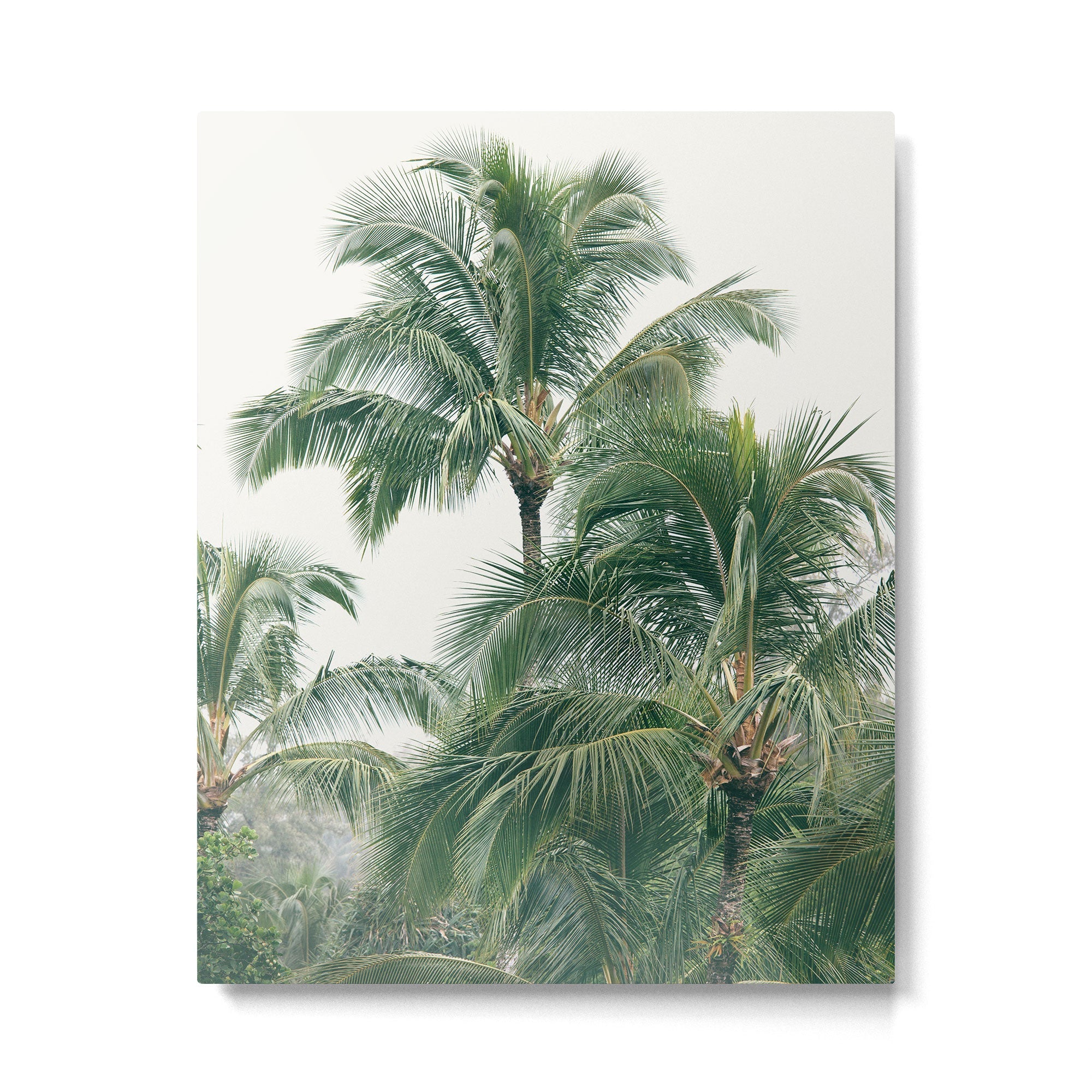 Lush Palm Trees Metal Print | TeksDecor