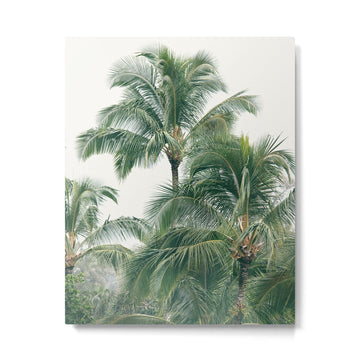Lush Palm Trees Metal Print | TeksDecor