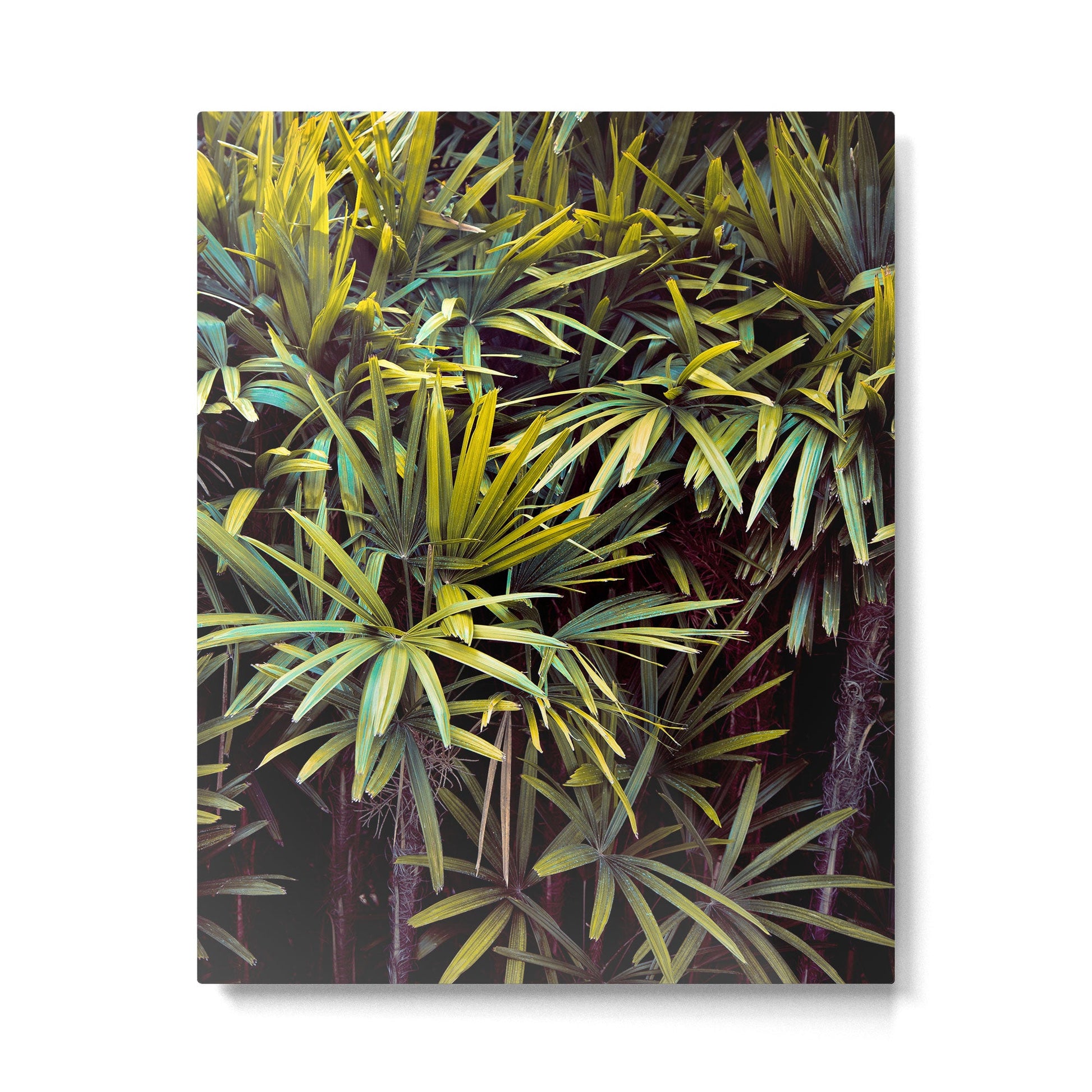 Neon Jungle - Tropical Nature Photography Metal Print | TeksDecor