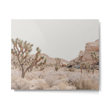 Pale Desert #4 - Joshua Tree Cactus, Nature Art, Landscape Photography Metal Print | TeksDecor