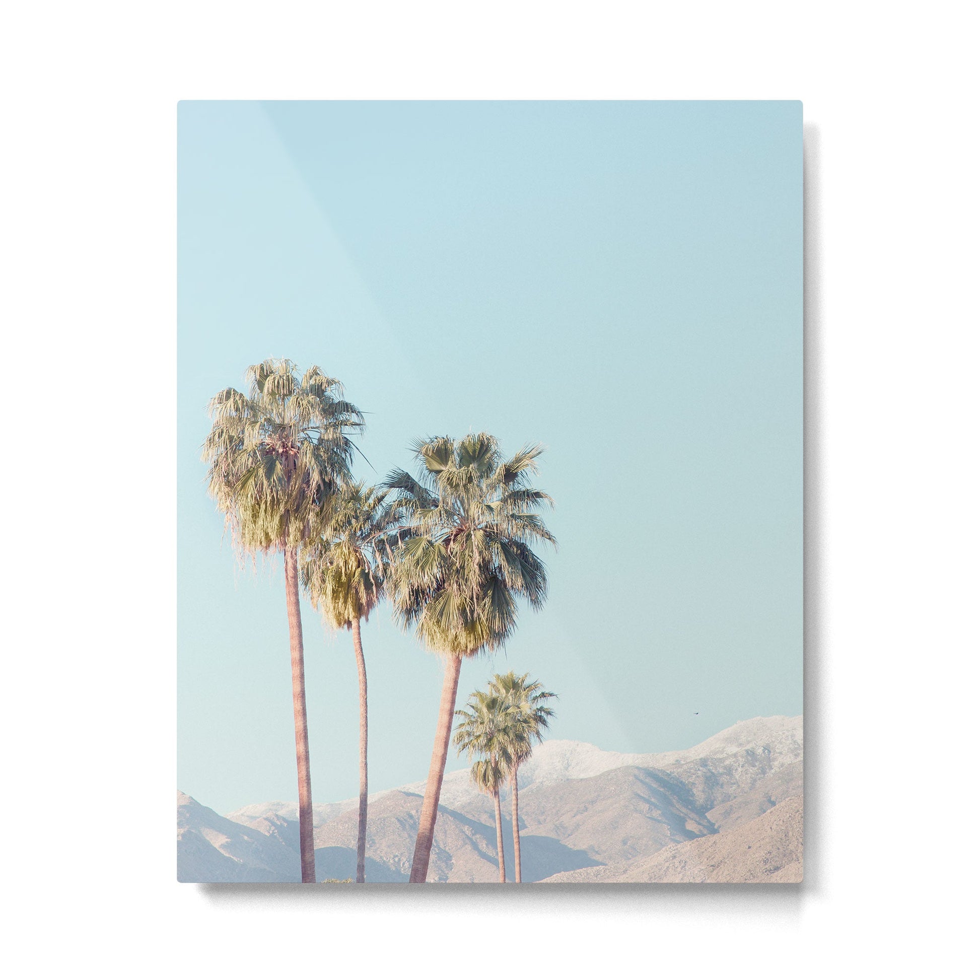 Palm Springs Palm Trees Metal Print | TeksDecor