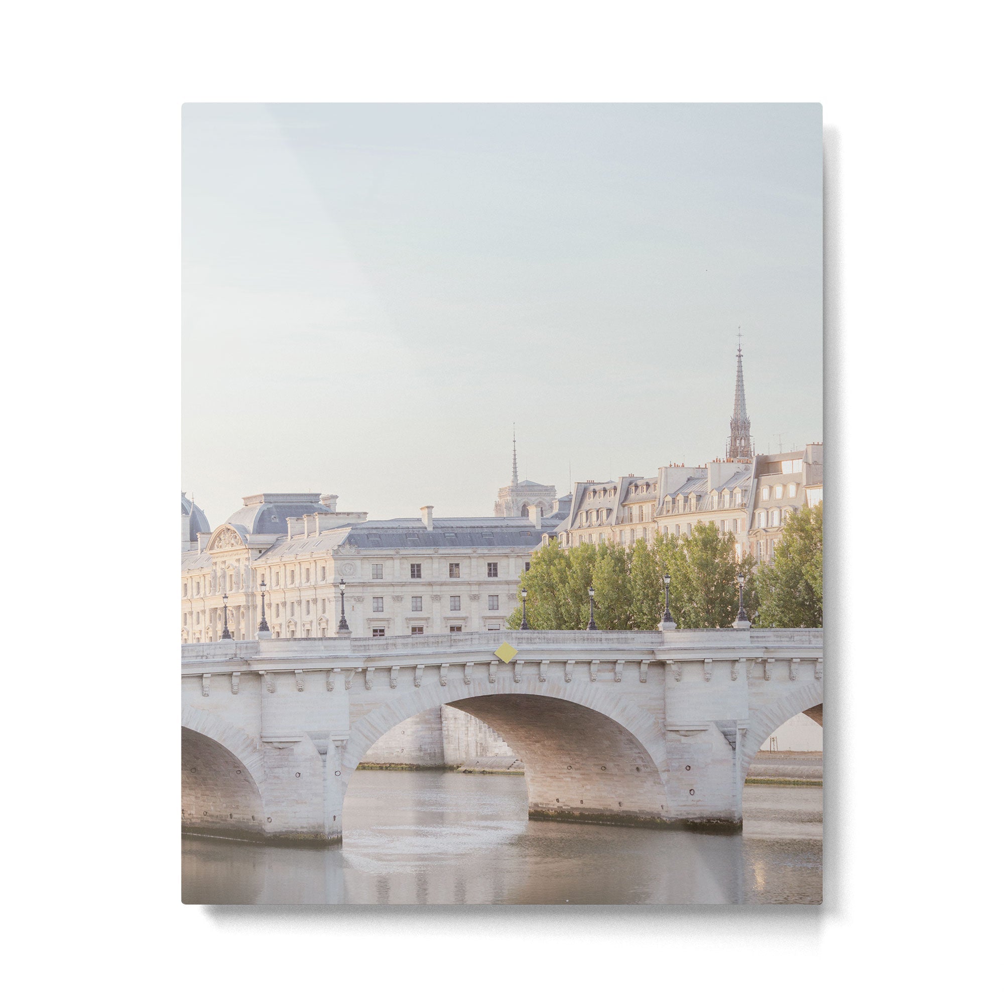 Pont Neuf on the Seine - Paris Metal Print | TeksDecor