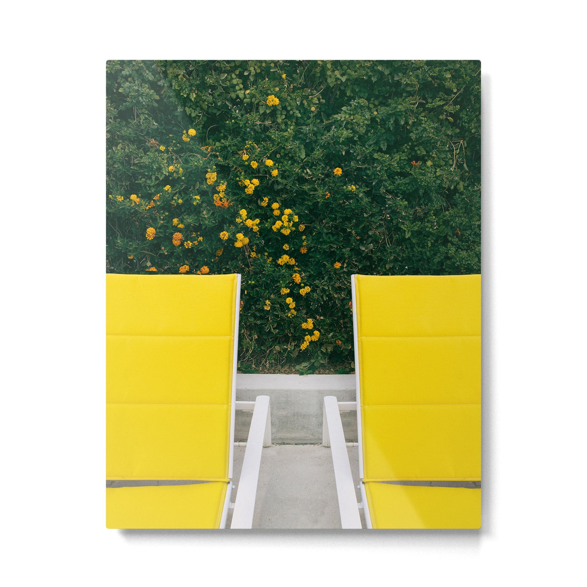 Poolside in Palm Springs Metal Print | TeksDecor