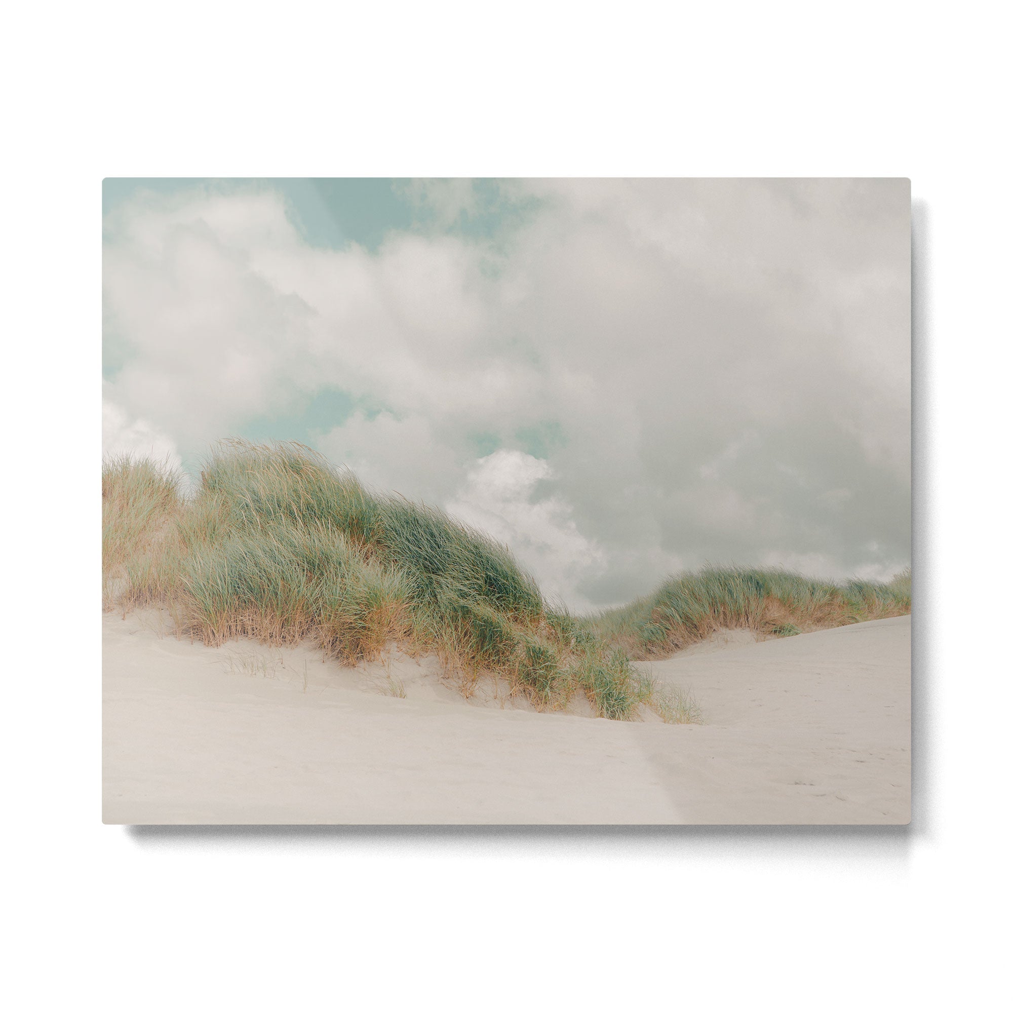 Sea Grass - California Beach Dunes, Landscape Photography Metal Print | TeksDecor