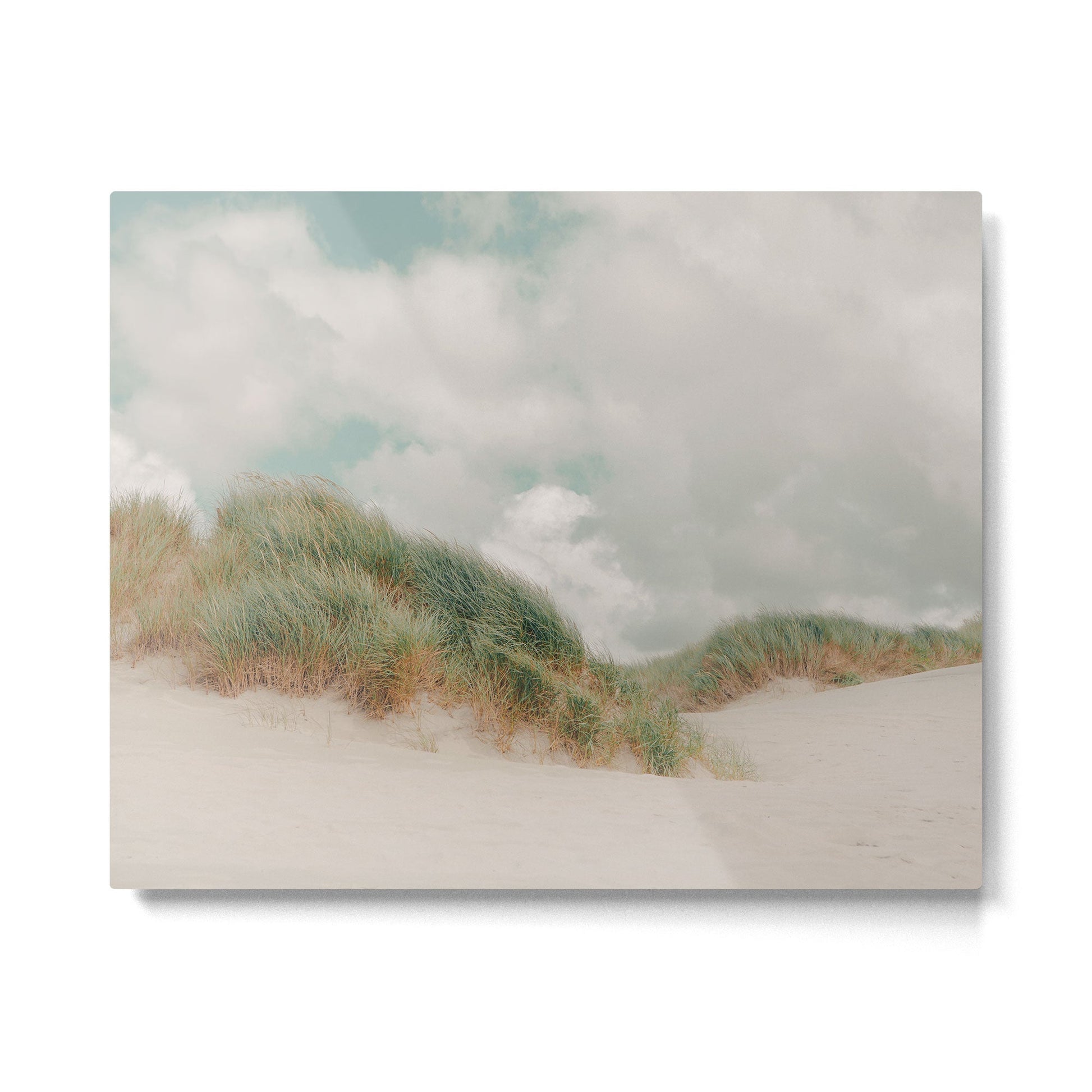 Sea Grass - California Beach Dunes, Landscape Photography Metal Print | TeksDecor