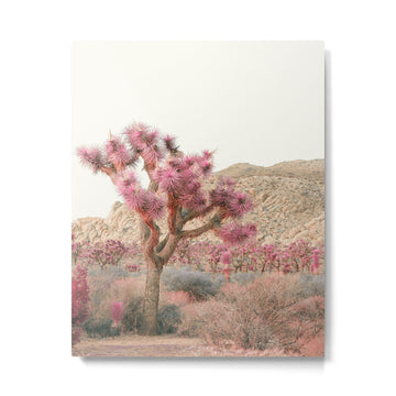Surreal Desert #2 - Joshua Tree Nature Photography Metal Print | TeksDecor