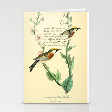 Bird Divinations: Chestnut-Sided Wood Warbler (about: almanacofbirds.org) Stationery Card