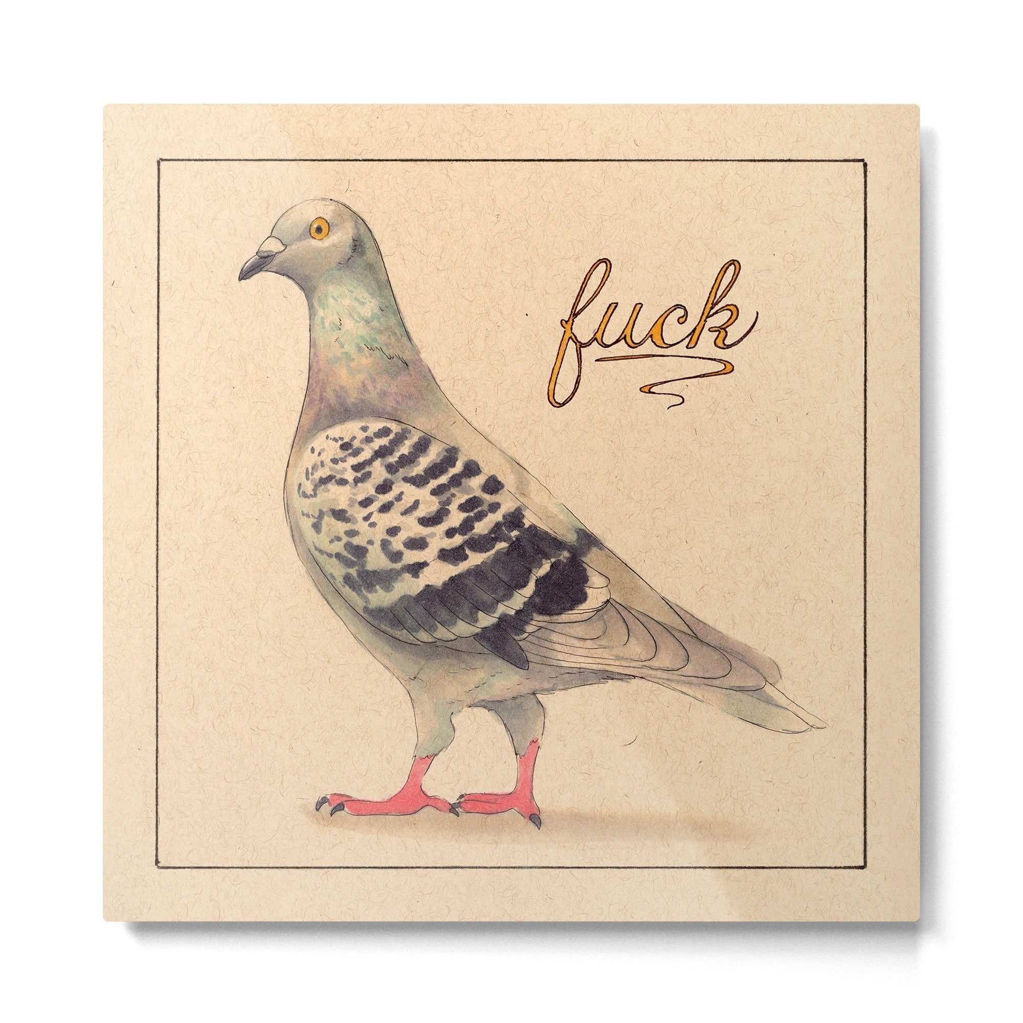 Fancy 'Fuck' Pigeon Metal Print | TeksDecor