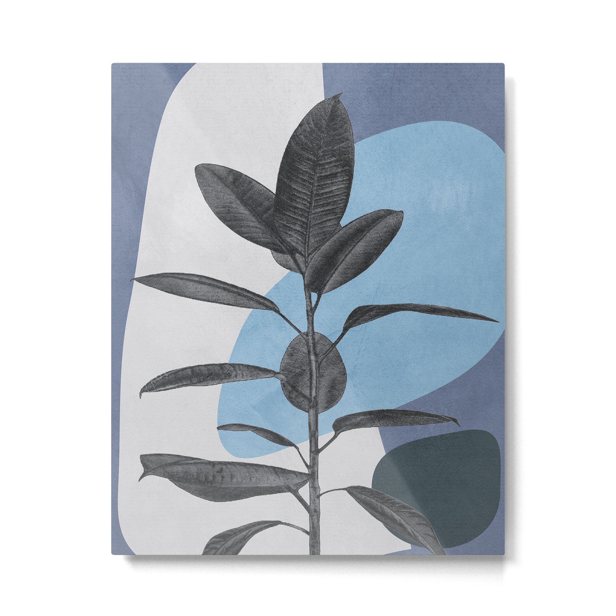 Ficus II Metal Print | TeksDecor