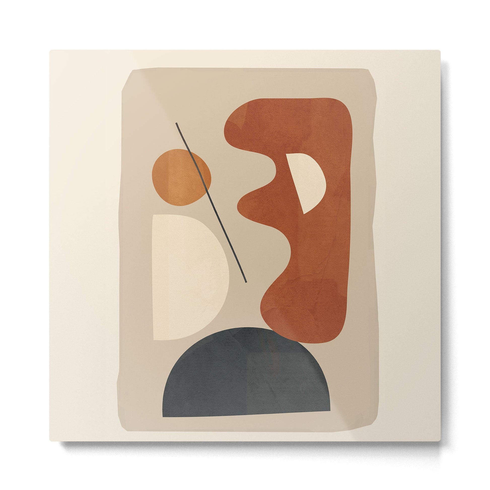 Shape Curve 12 Metal Print | TeksDecor