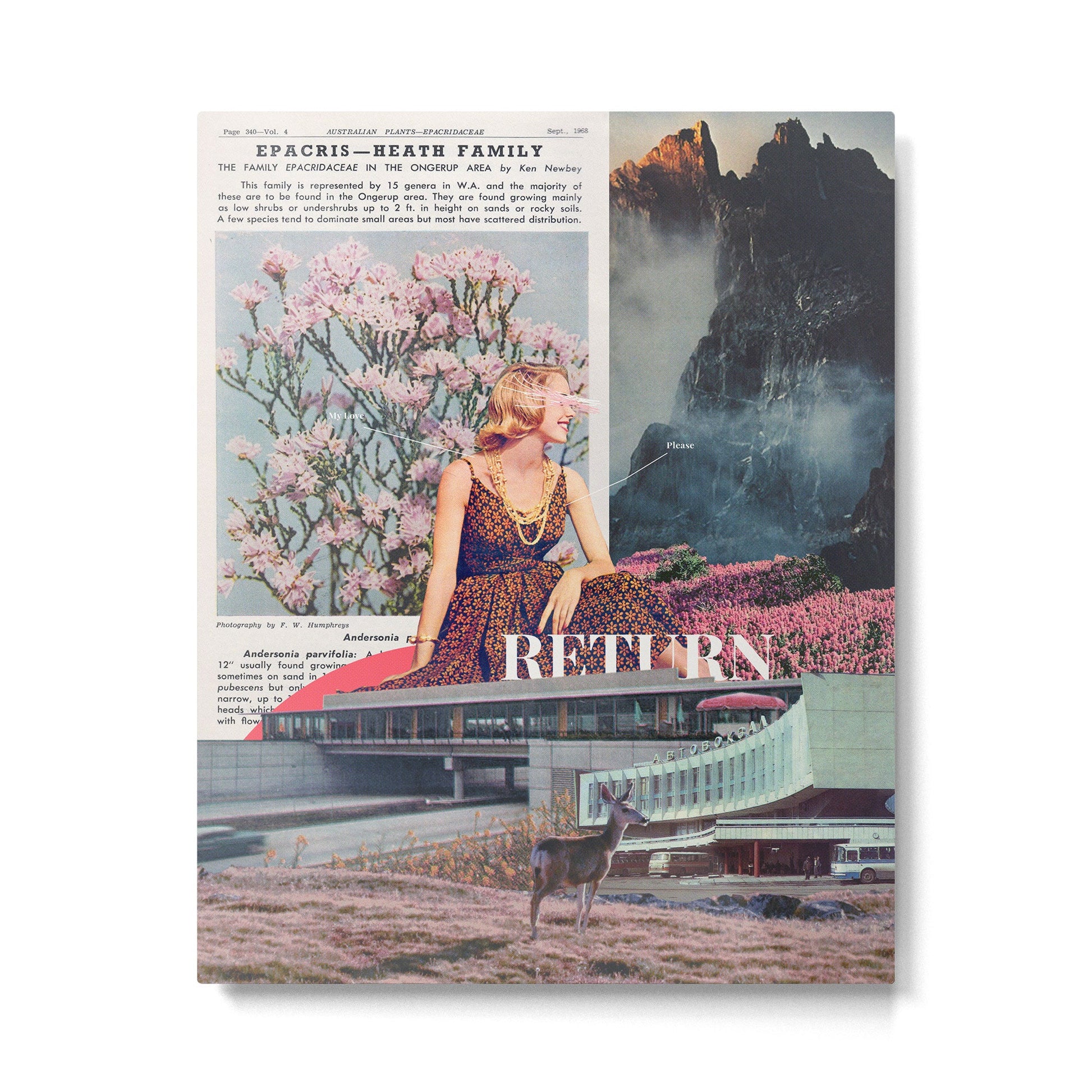 My Love, Please Return Metal Print | TeksDecor