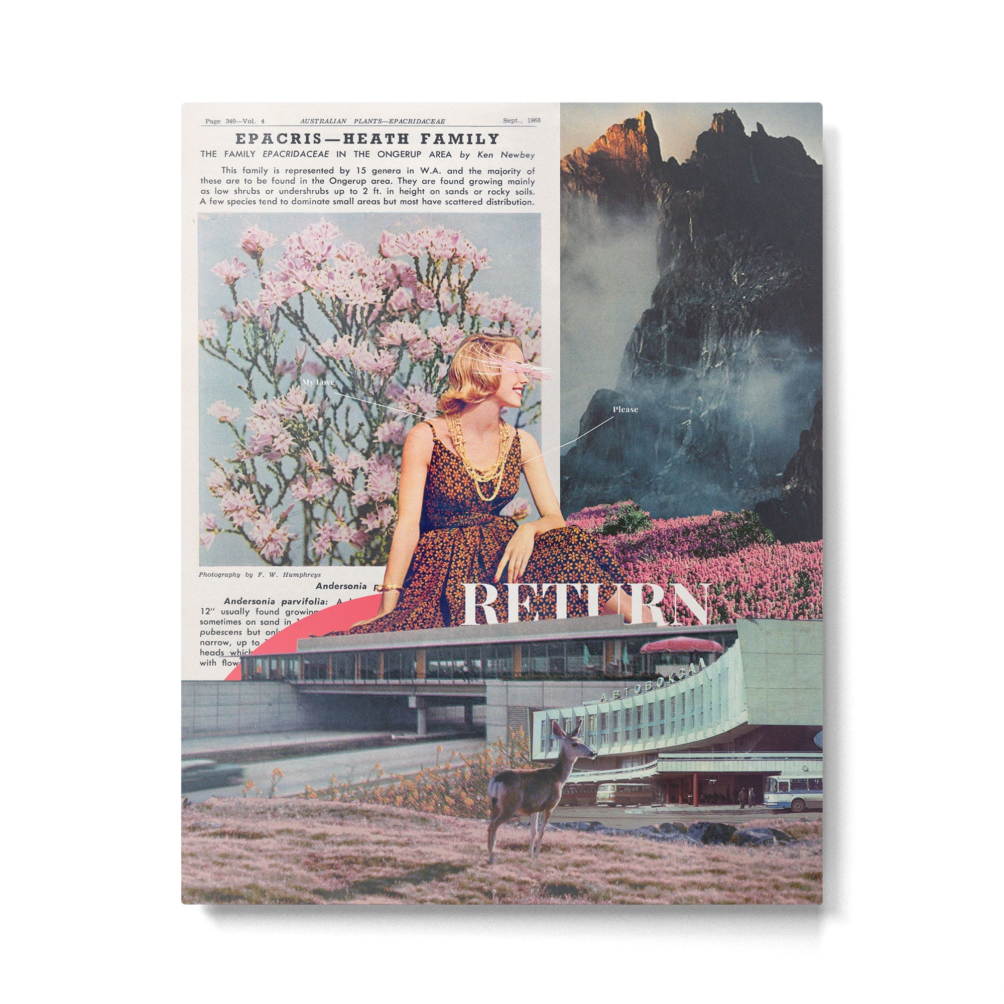 My Love, Please Return Metal Print | TeksDecor