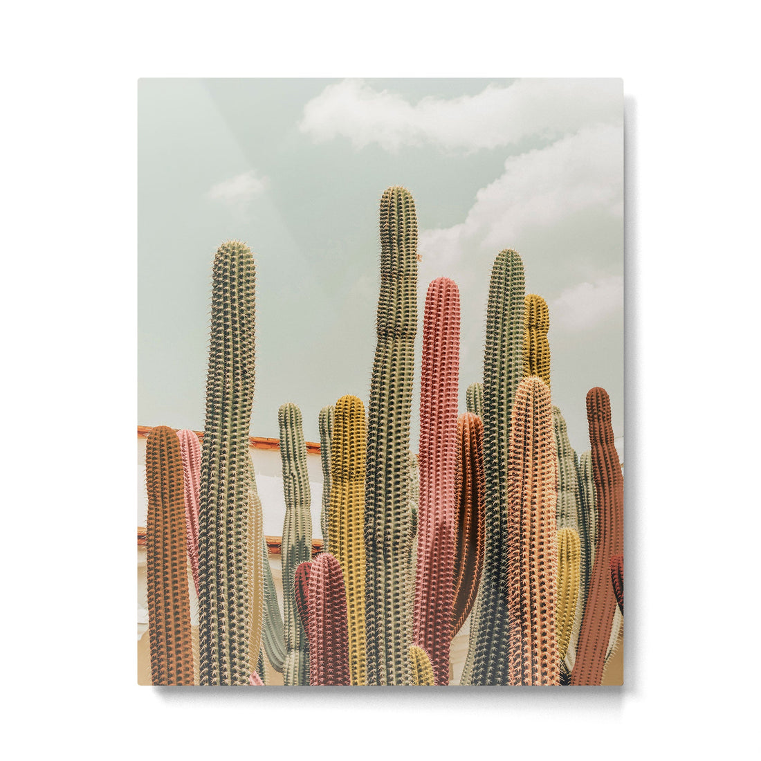 Desert tones Metal Print | TeksDecor