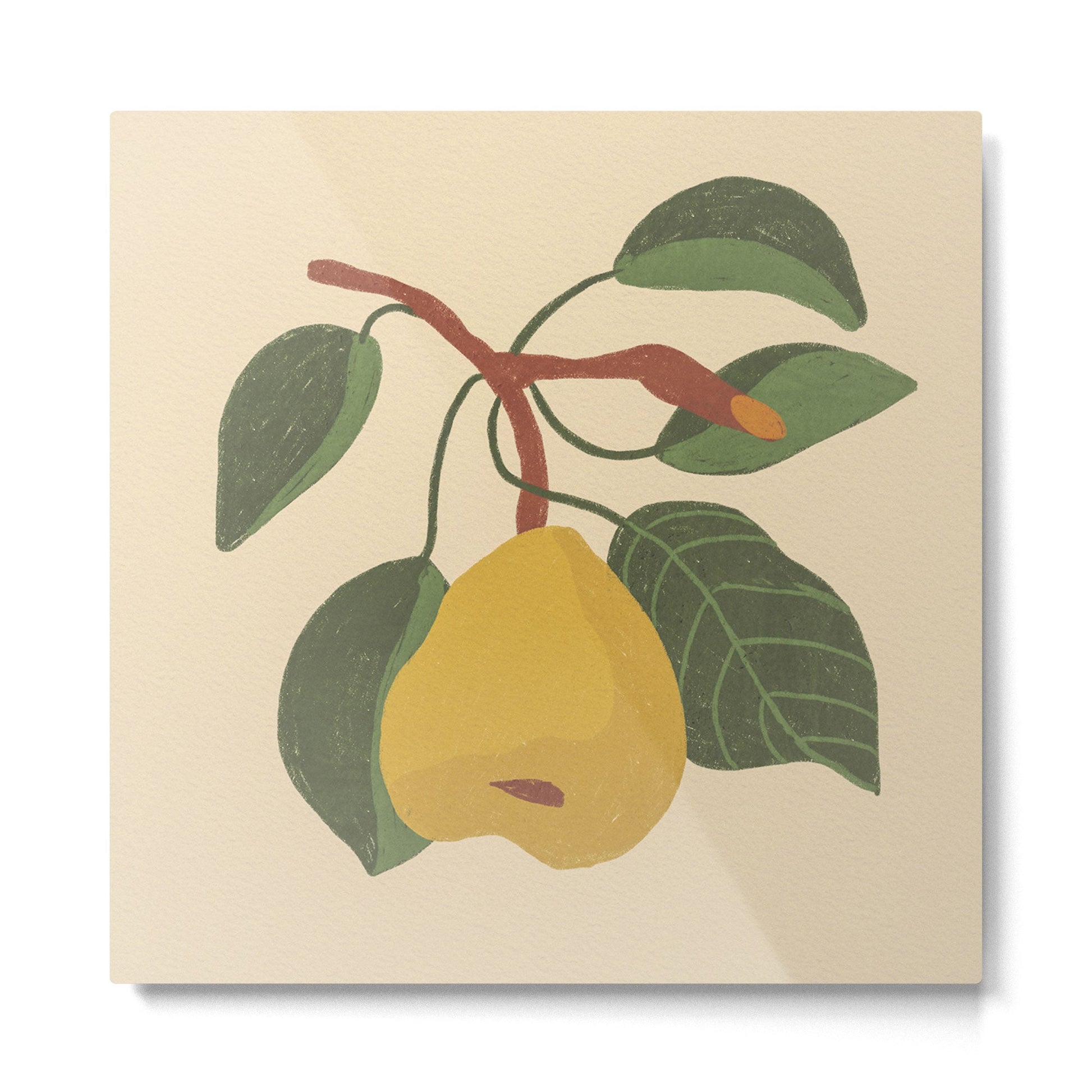 Pear Metal Print | TeksDecor
