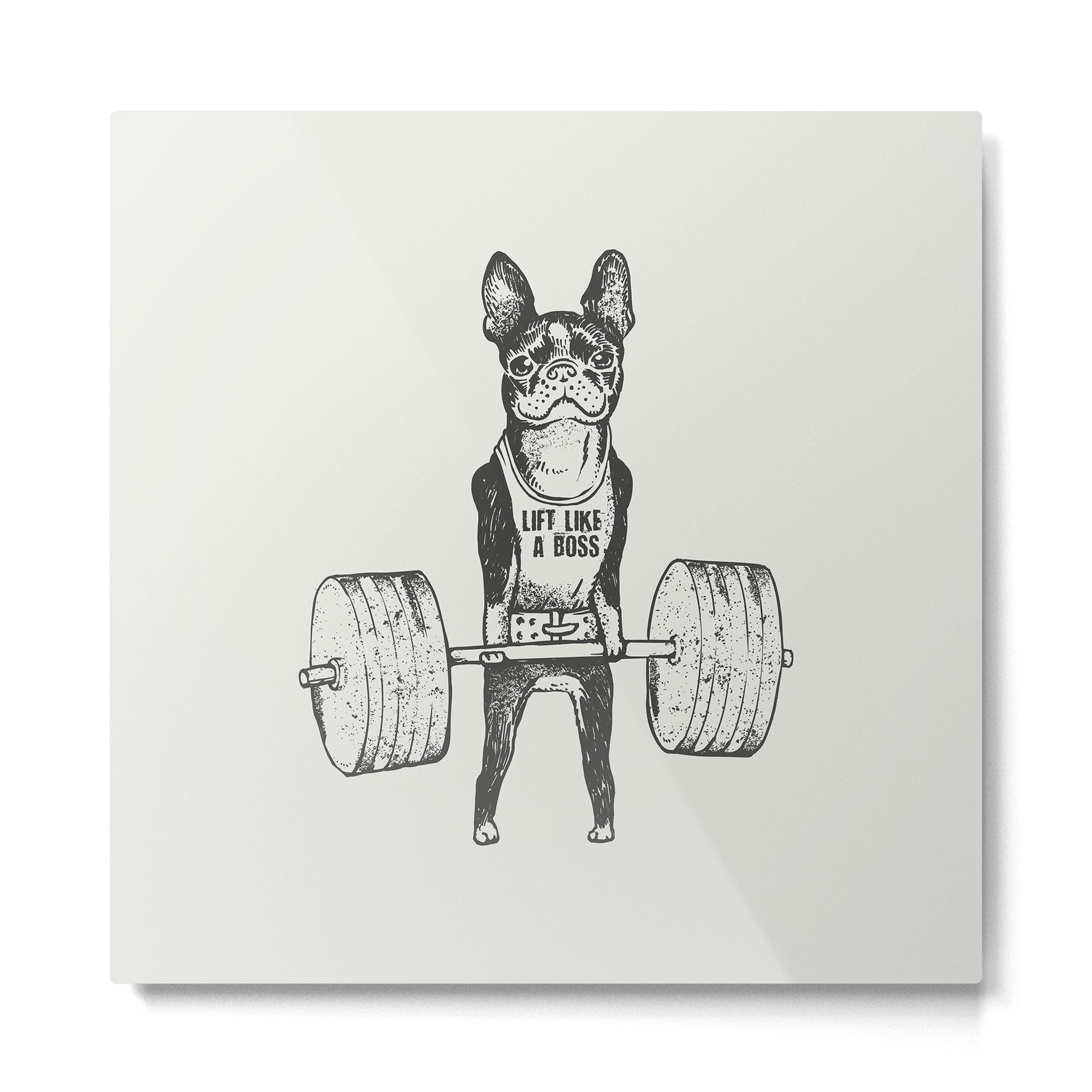 Boston Terrier Lift Metal Print | TeksDecor